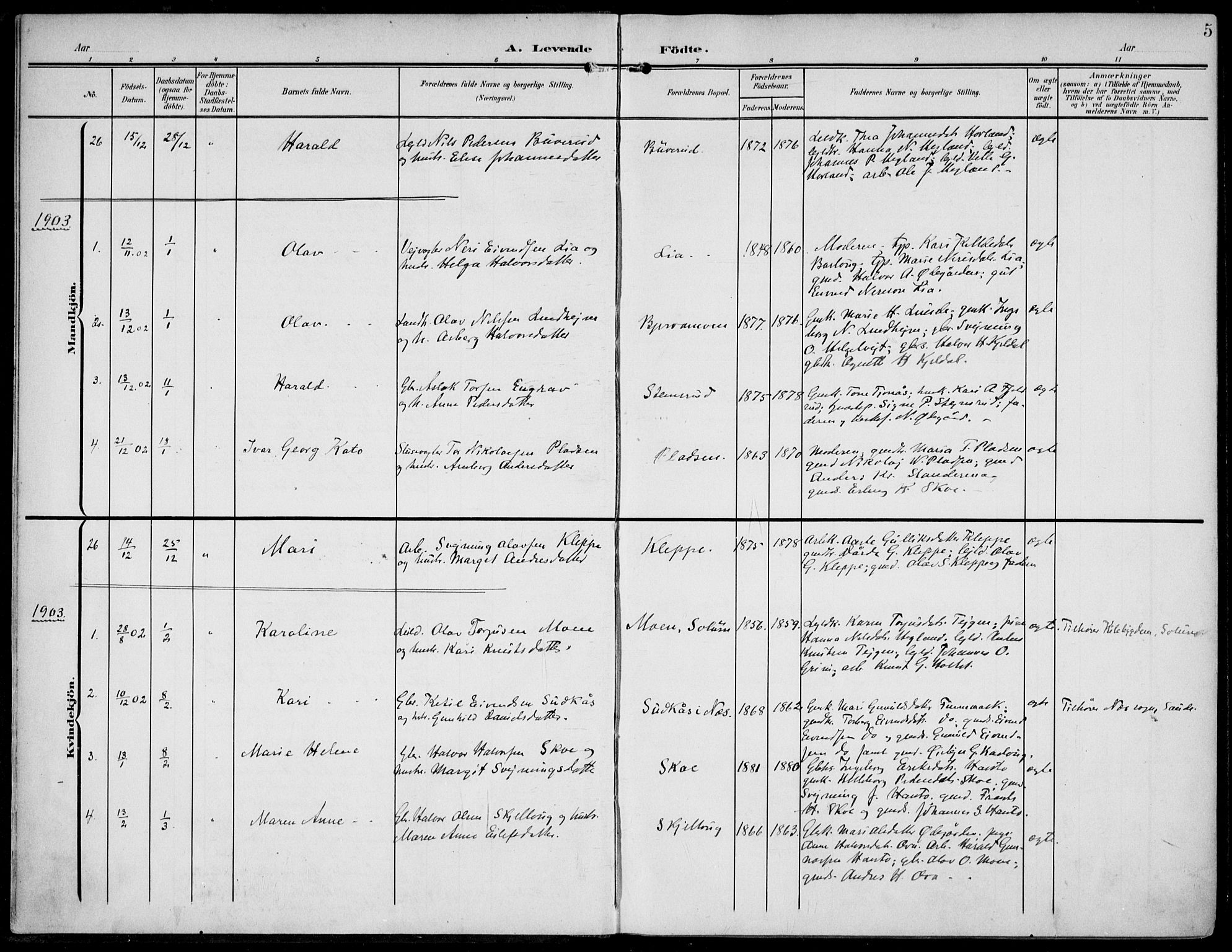 Lunde kirkebøker, SAKO/A-282/F/Fa/L0004: Parish register (official) no. I 4, 1902-1913, p. 5