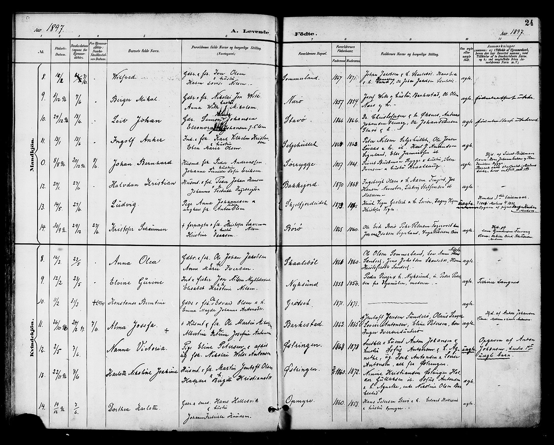 Ministerialprotokoller, klokkerbøker og fødselsregistre - Nordland, SAT/A-1459/893/L1338: Parish register (official) no. 893A10, 1894-1903, p. 24