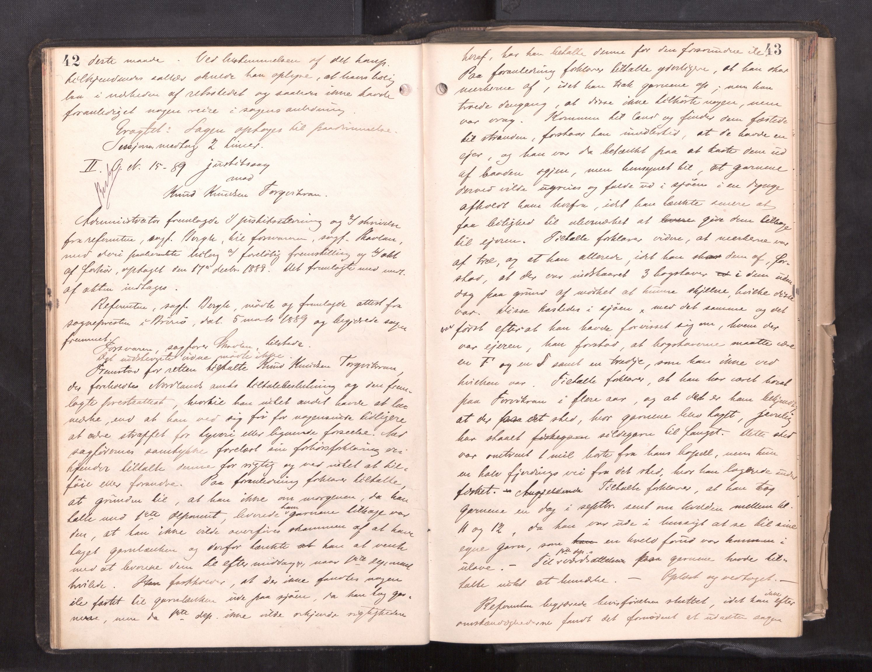 Søndre Helgeland sorenskriveri, AV/SAT-A-4575/1/1/1B/1Ba/L0018: ekstrarettsprotokoll, 1889-1893, p. 42-43
