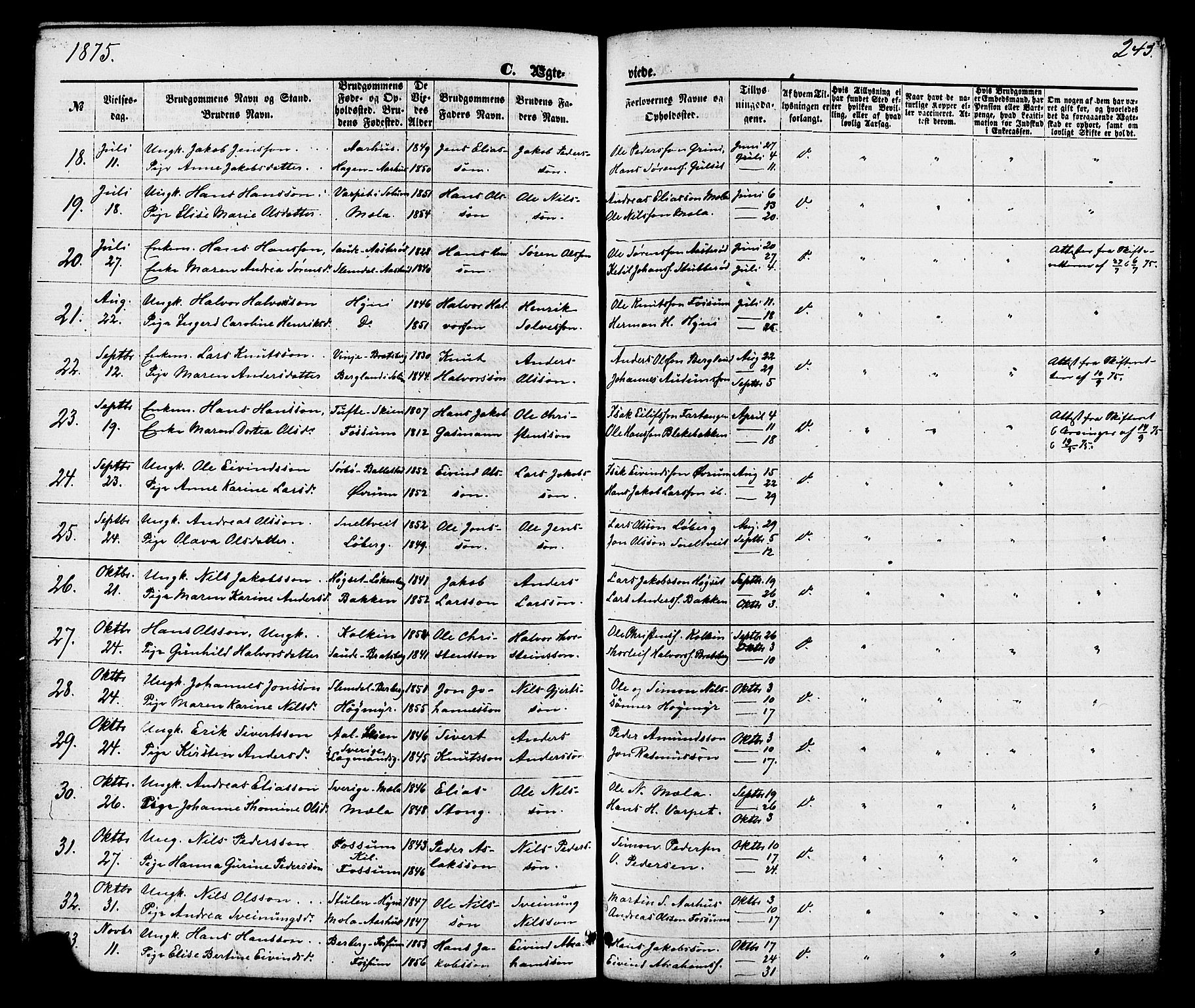 Gjerpen kirkebøker, SAKO/A-265/F/Fa/L0009: Parish register (official) no. I 9, 1872-1885, p. 245