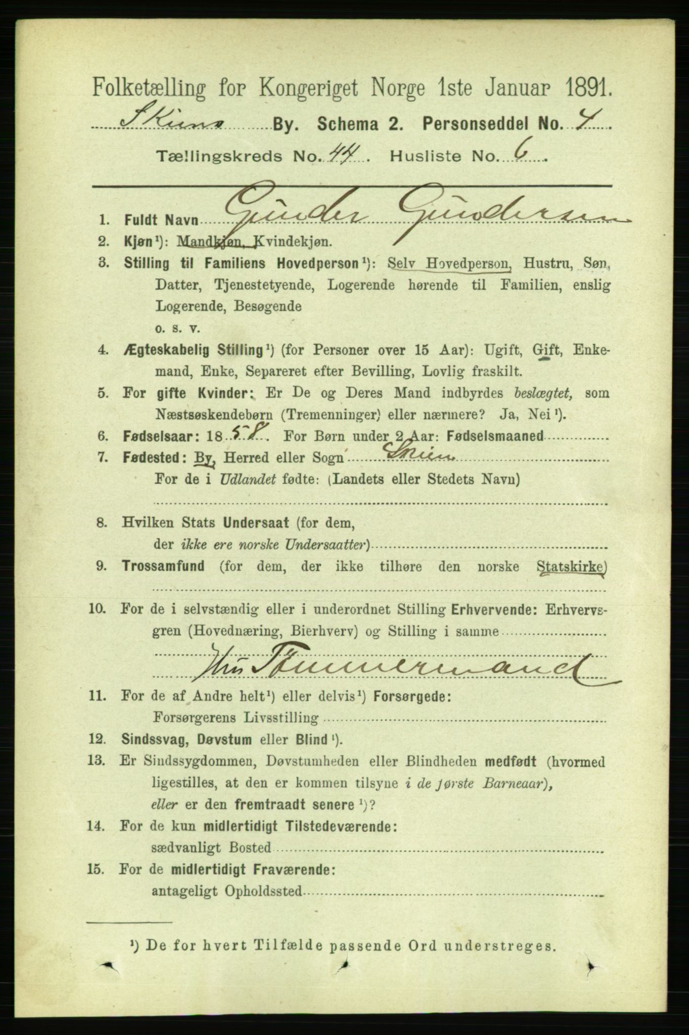 RA, 1891 census for 0806 Skien, 1891, p. 8821