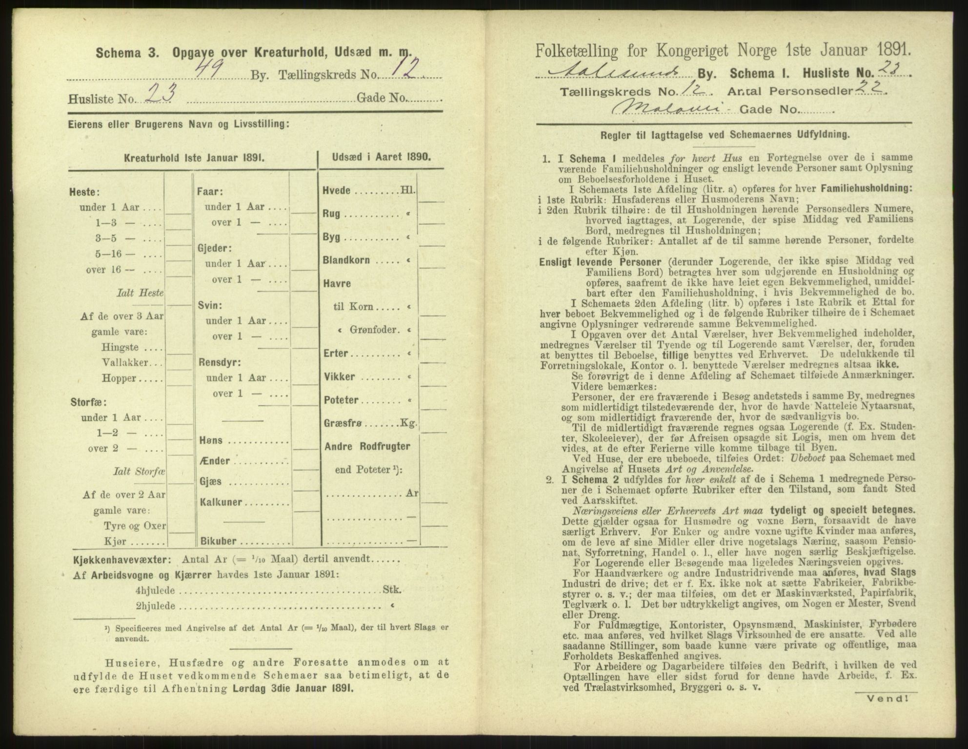 RA, 1891 census for 1501 Ålesund, 1891, p. 908