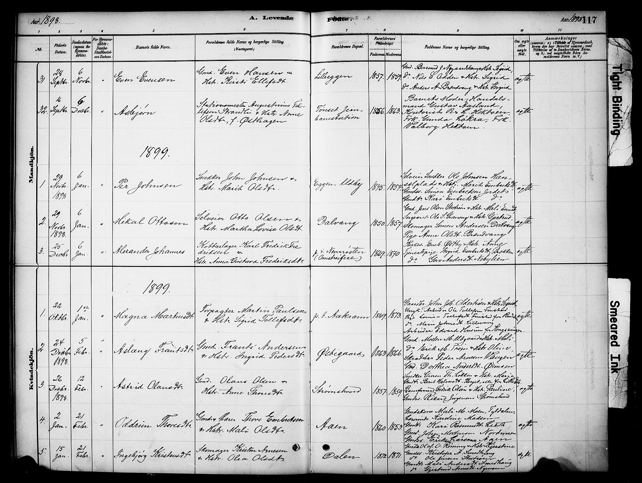 Tynset prestekontor, SAH/PREST-058/H/Ha/Hab/L0006: Parish register (copy) no. 6, 1880-1899, p. 117