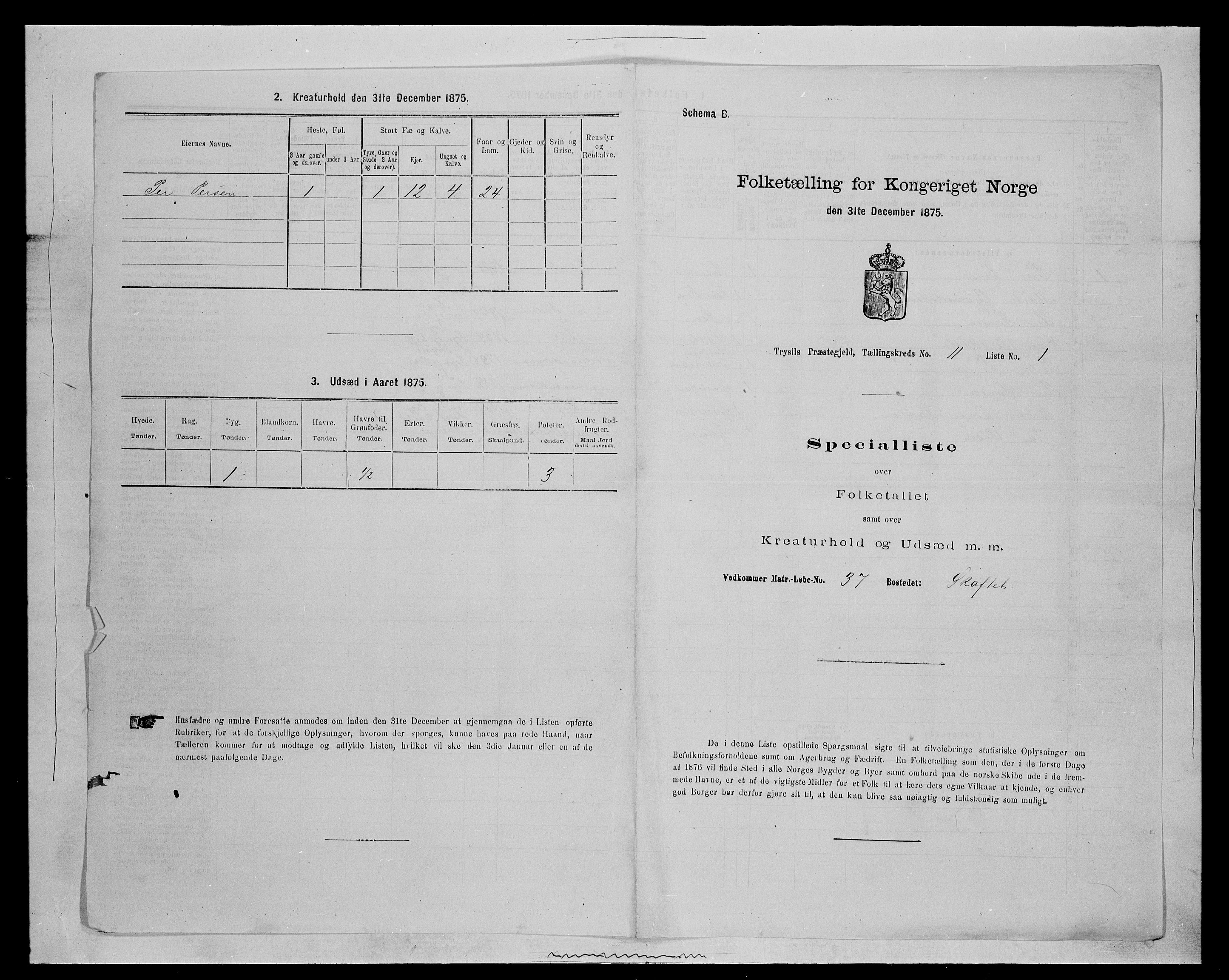 SAH, 1875 census for 0428P Trysil, 1875, p. 1225