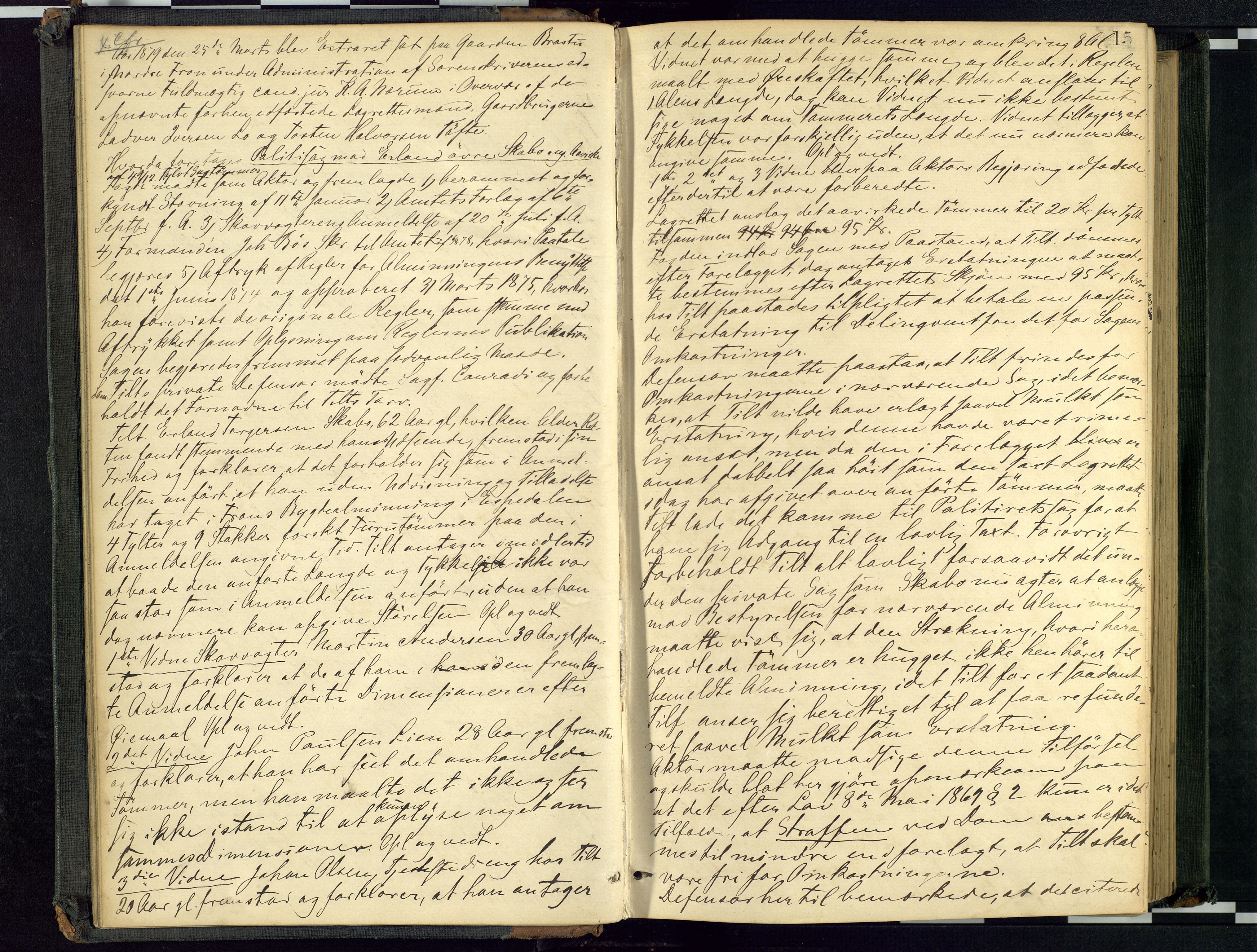 Mellom-Gudbrandsdal sorenskriveri, AV/SAH-TING-038/G/Gc/Gca/L0015: Ekstrarettsprotokoll, 1879-1884, p. 15