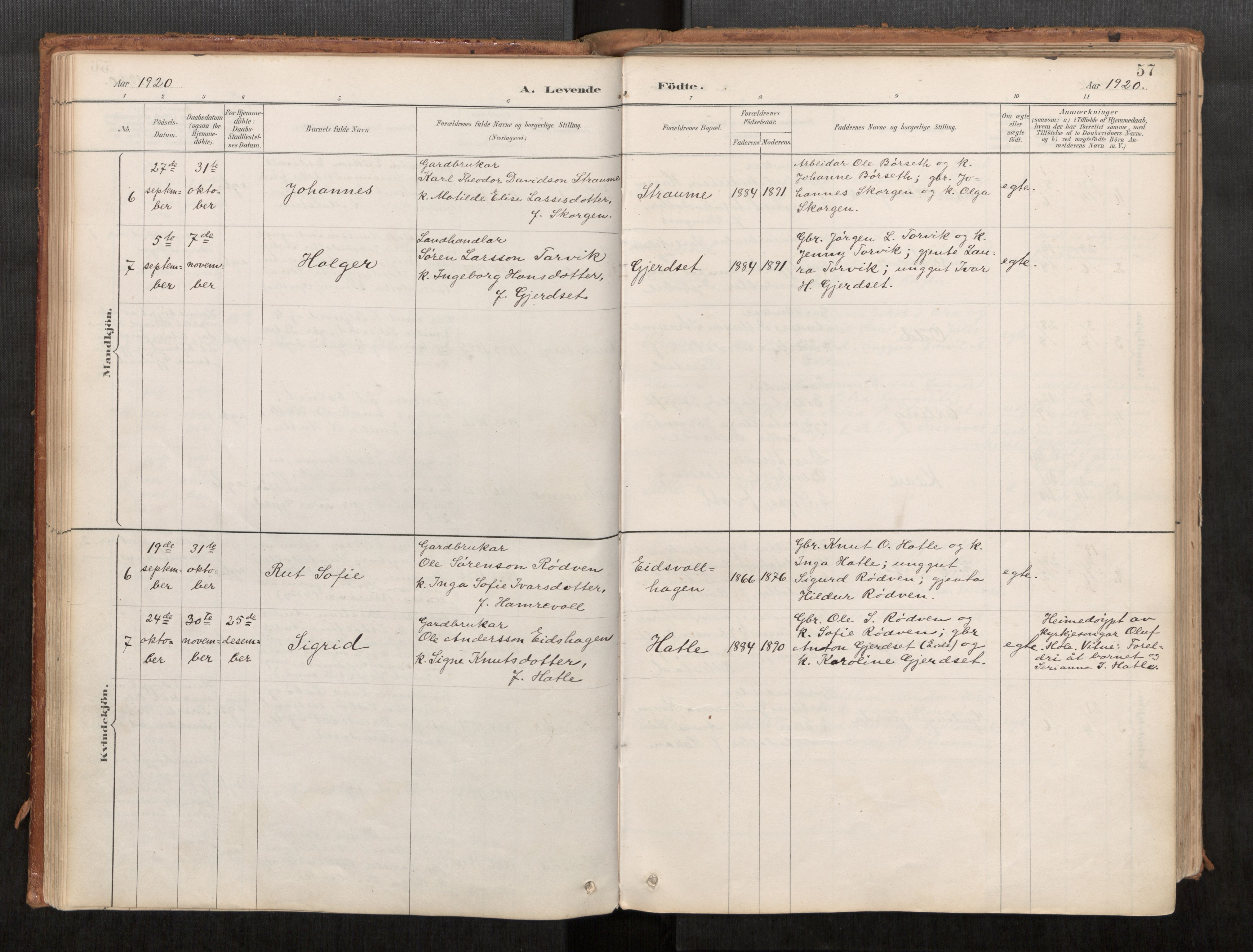 Ministerialprotokoller, klokkerbøker og fødselsregistre - Møre og Romsdal, AV/SAT-A-1454/542/L0553: Parish register (official) no. 542A03, 1885-1925, p. 57