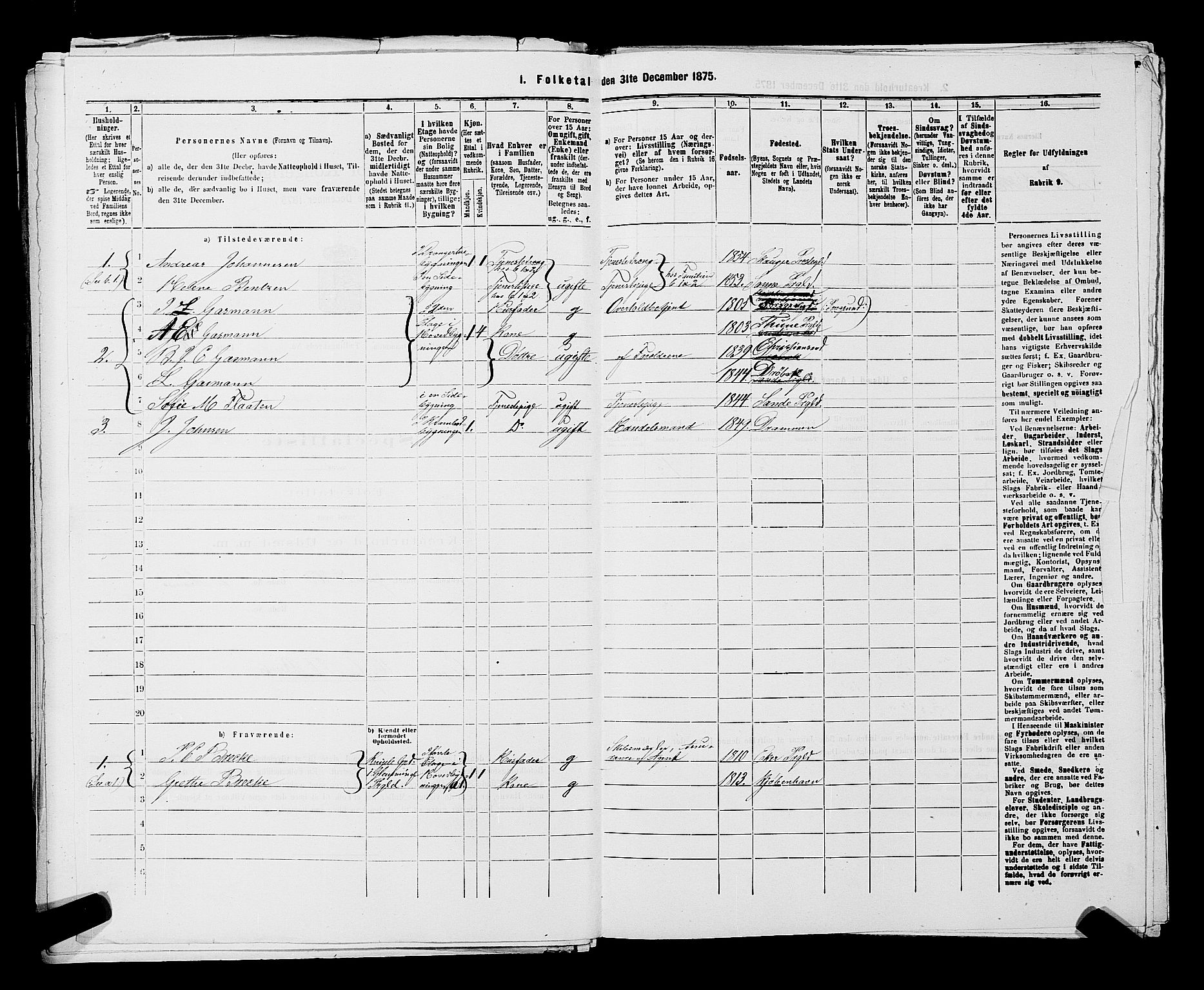 SAKO, 1875 census for 0602 Drammen, 1875, p. 2910