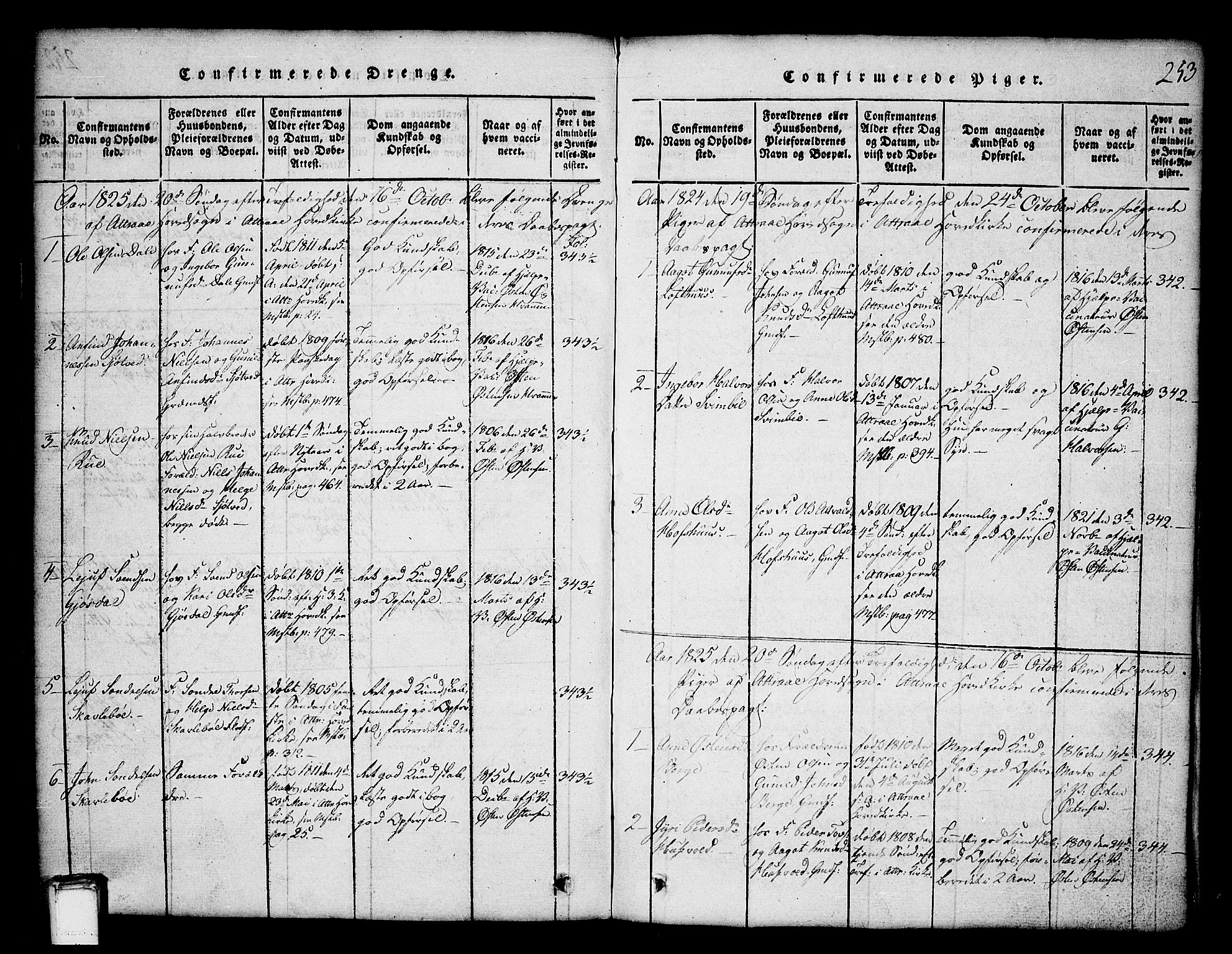 Tinn kirkebøker, SAKO/A-308/G/Ga/L0001: Parish register (copy) no. I 1, 1815-1850, p. 253
