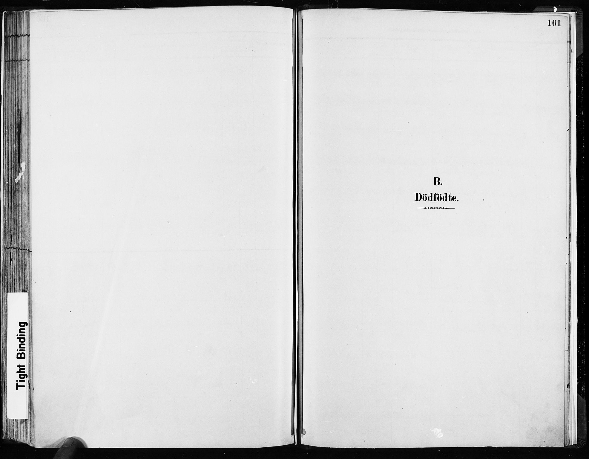 Kampen prestekontor Kirkebøker, SAO/A-10853/F/Fa/L0003: Parish register (official) no. I 3, 1886-1892, p. 161