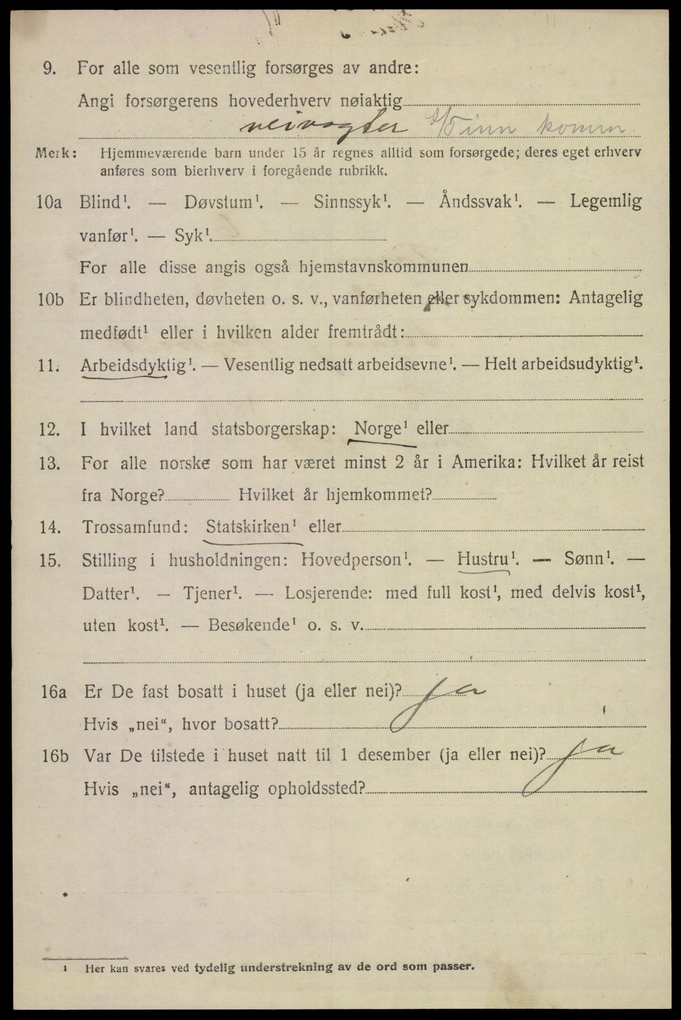 SAKO, 1920 census for Tinn, 1920, p. 6263