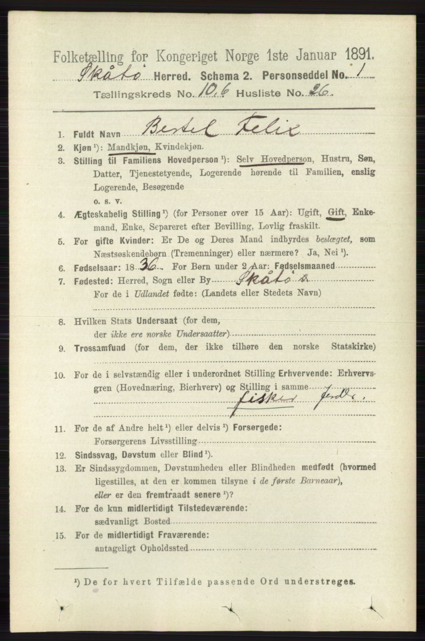 RA, 1891 census for 0815 Skåtøy, 1891, p. 4193