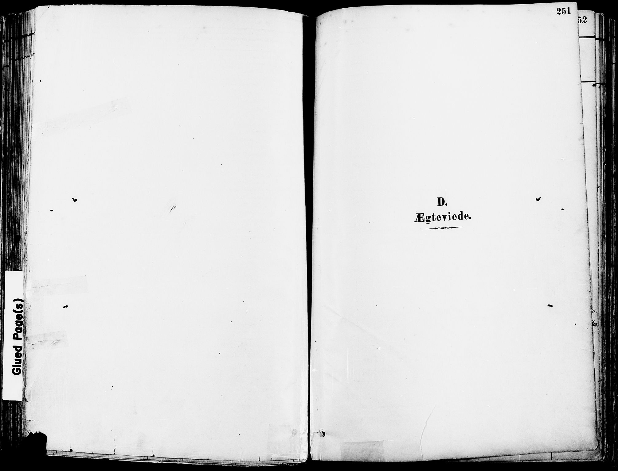 Grue prestekontor, SAH/PREST-036/H/Ha/Haa/L0012: Parish register (official) no. 12, 1881-1897, p. 251