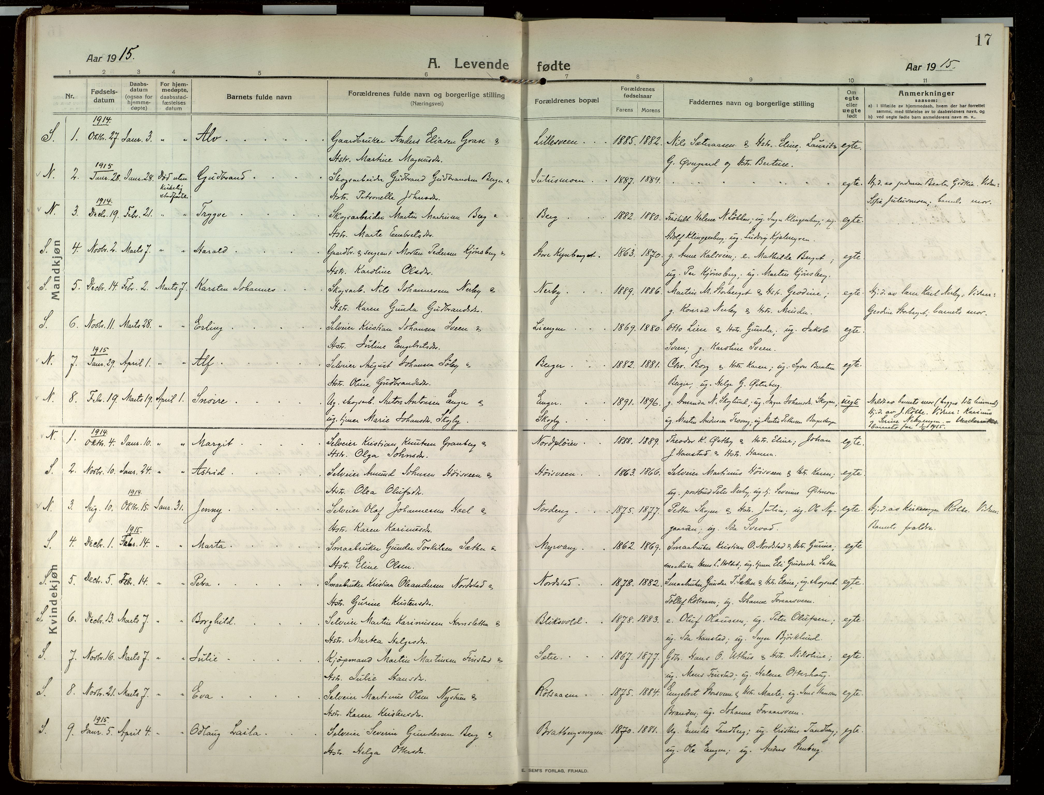 Elverum prestekontor, AV/SAH-PREST-044/H/Ha/Haa/L0022: Parish register (official) no. 22, 1913-1924, p. 17