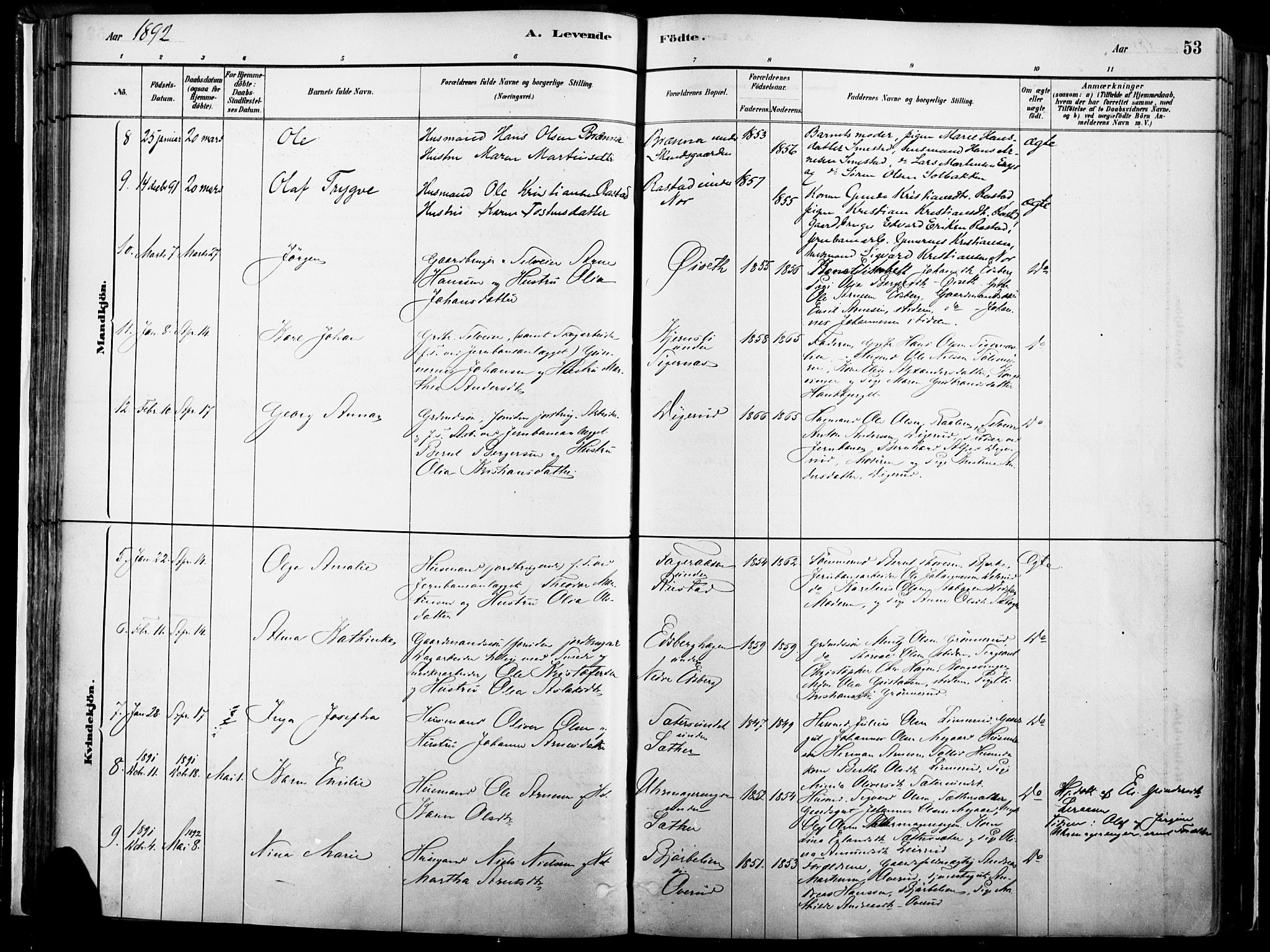 Vinger prestekontor, AV/SAH-PREST-024/H/Ha/Haa/L0014: Parish register (official) no. 14, 1881-1900, p. 53