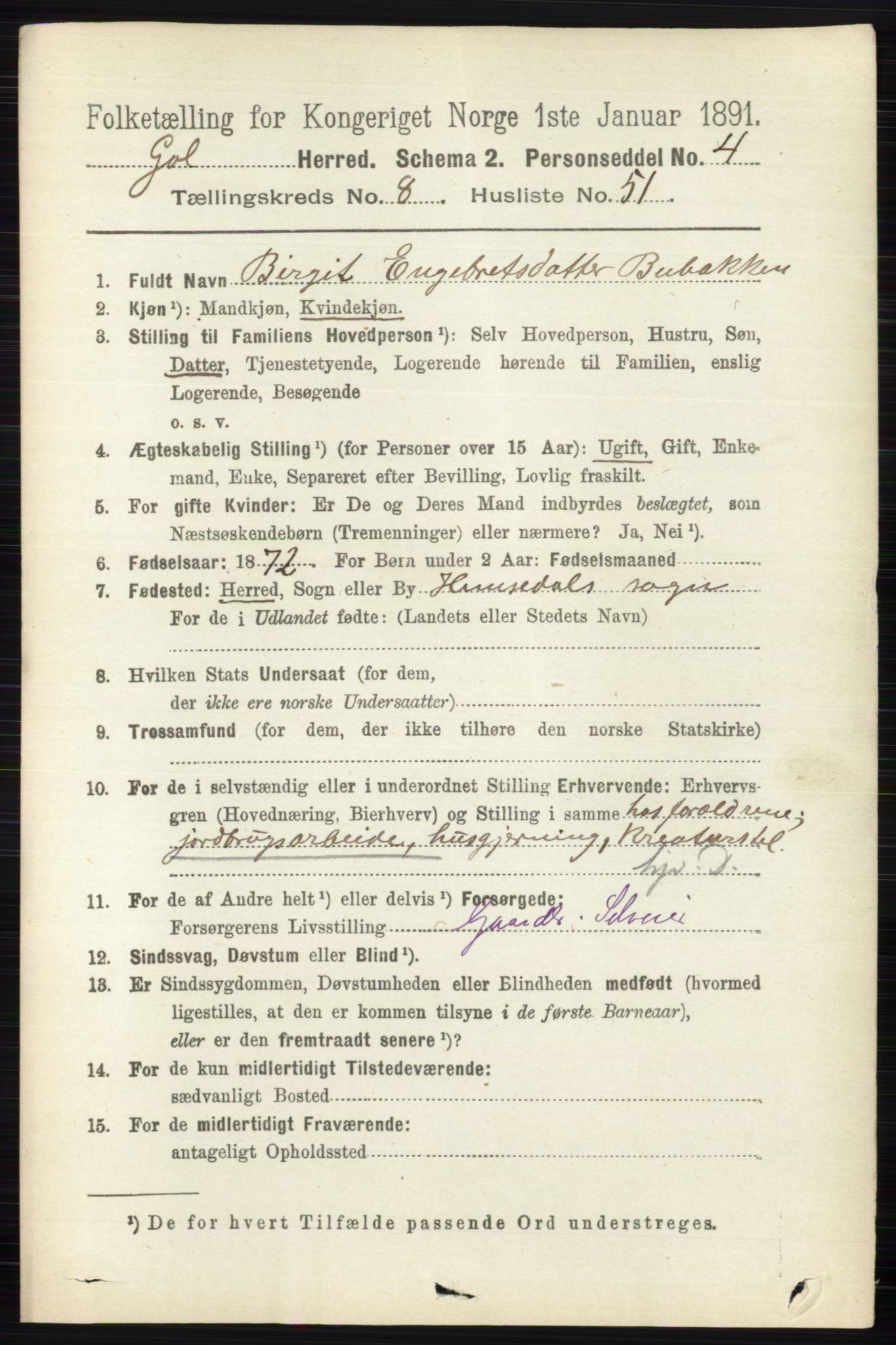 RA, 1891 census for 0617 Gol og Hemsedal, 1891, p. 3296