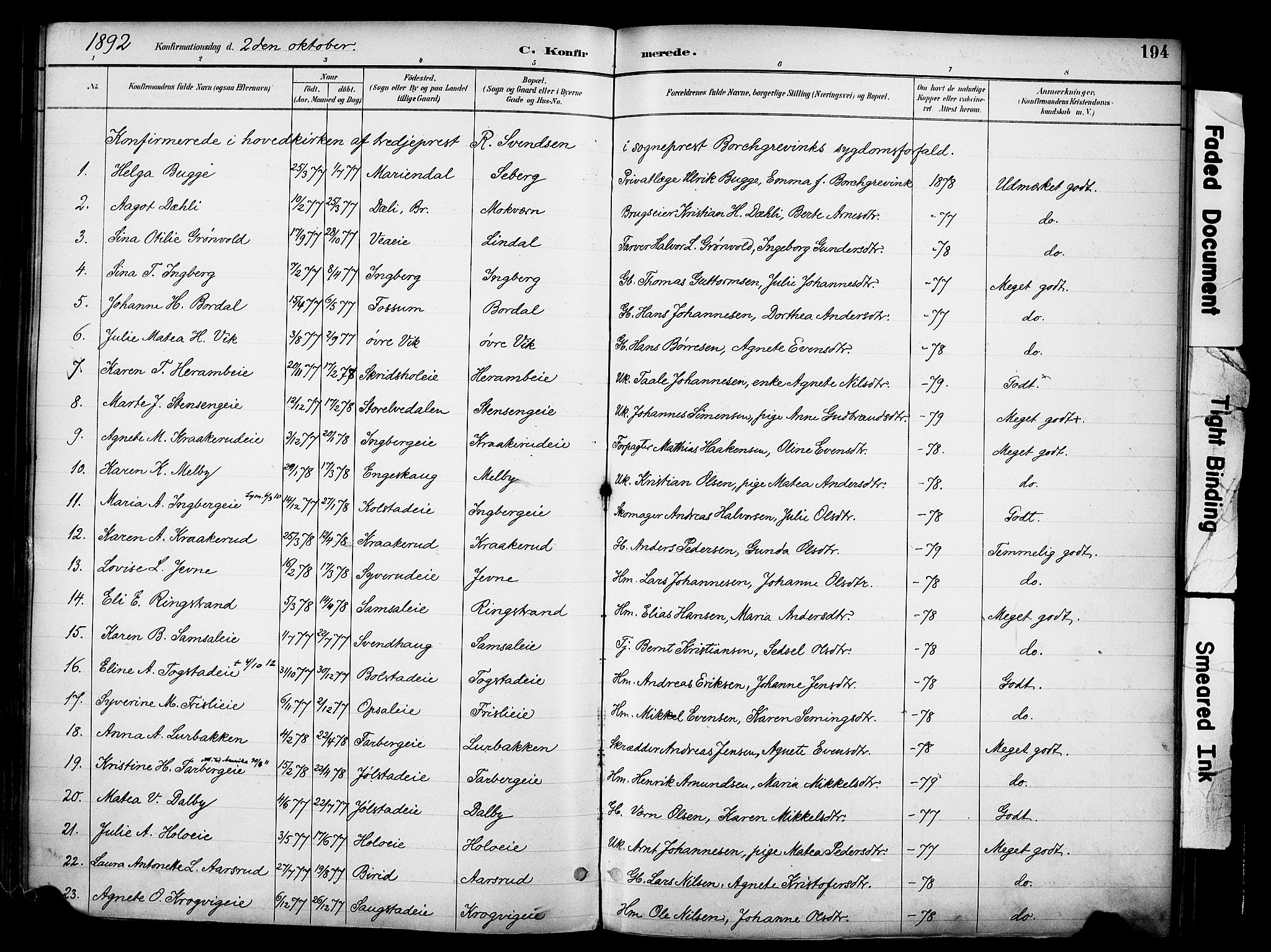 Ringsaker prestekontor, AV/SAH-PREST-014/K/Ka/L0017: Parish register (official) no. 17, 1891-1902, p. 194