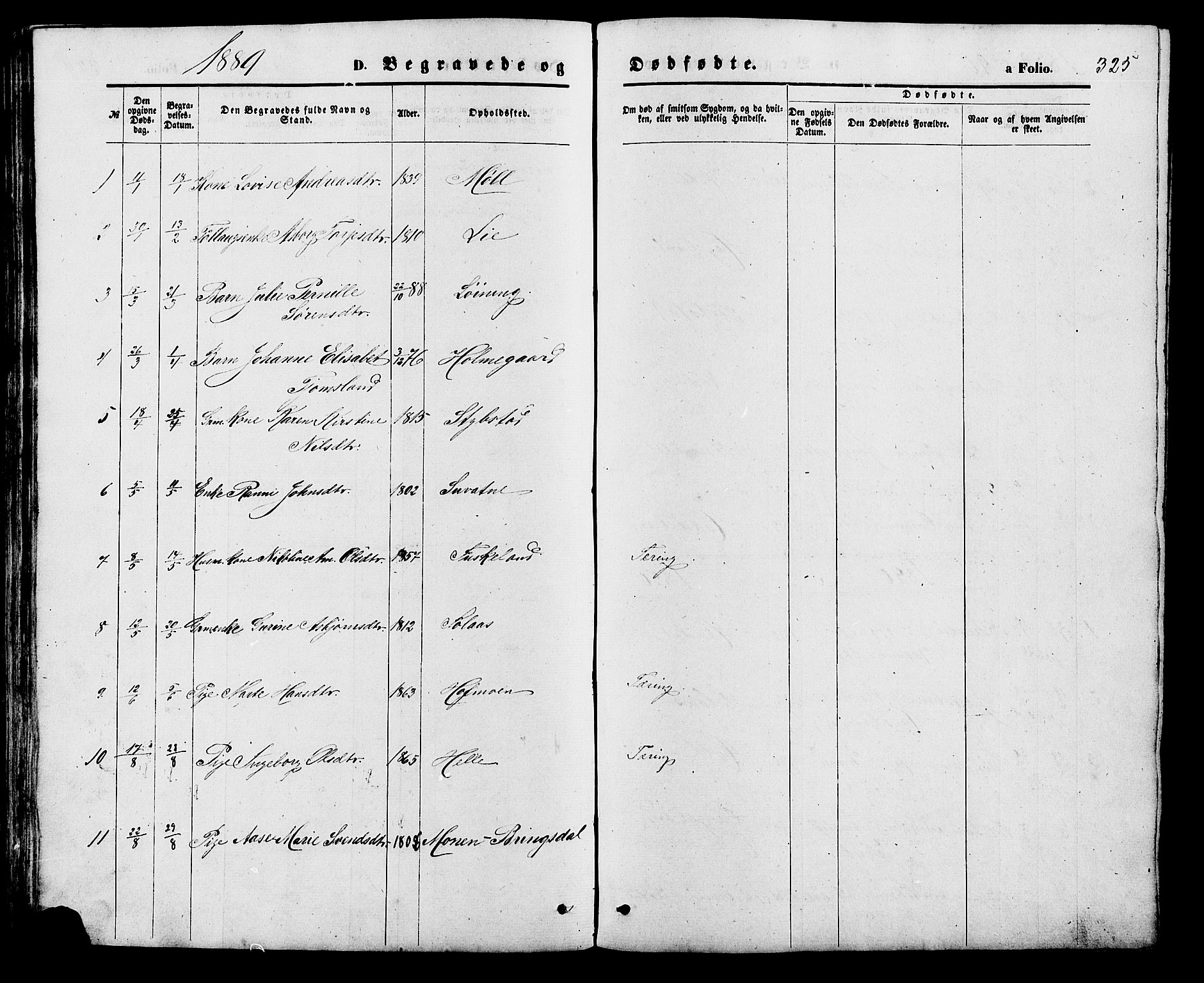 Holum sokneprestkontor, SAK/1111-0022/F/Fb/Fba/L0004: Parish register (copy) no. B 4, 1867-1890, p. 325