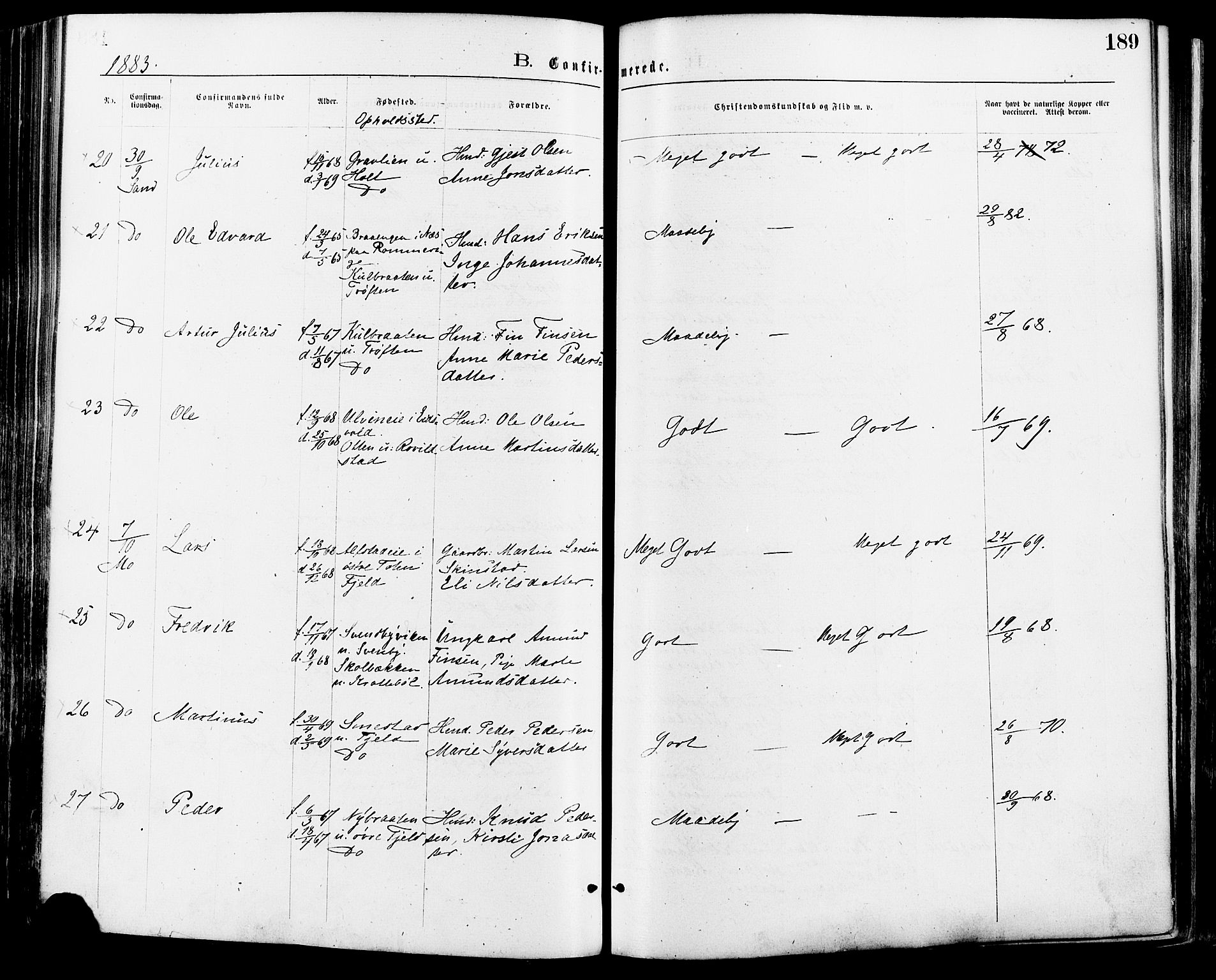 Nord-Odal prestekontor, AV/SAH-PREST-032/H/Ha/Haa/L0005: Parish register (official) no. 5, 1874-1885, p. 189