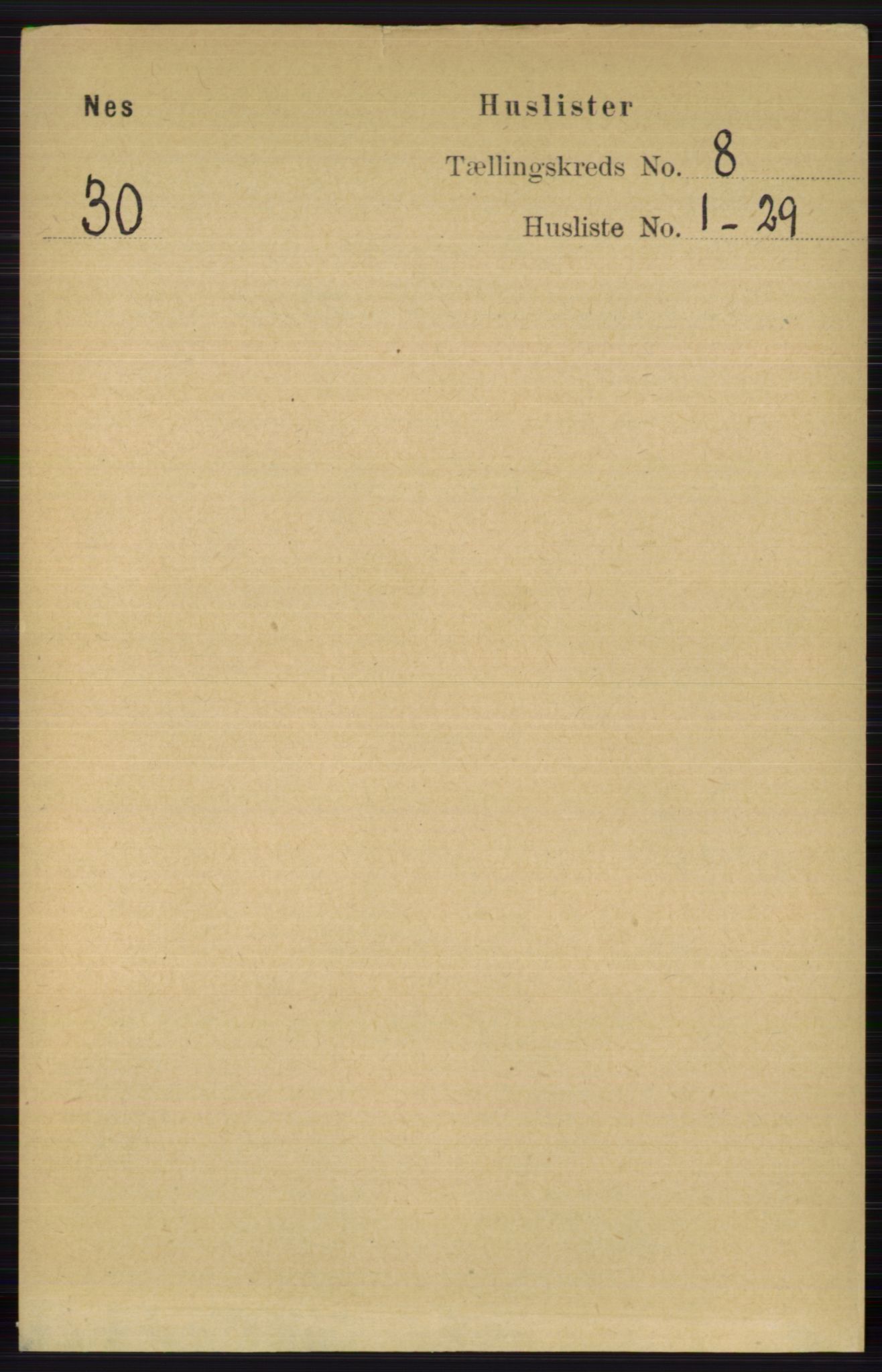 RA, 1891 census for 0616 Nes, 1891, p. 4047