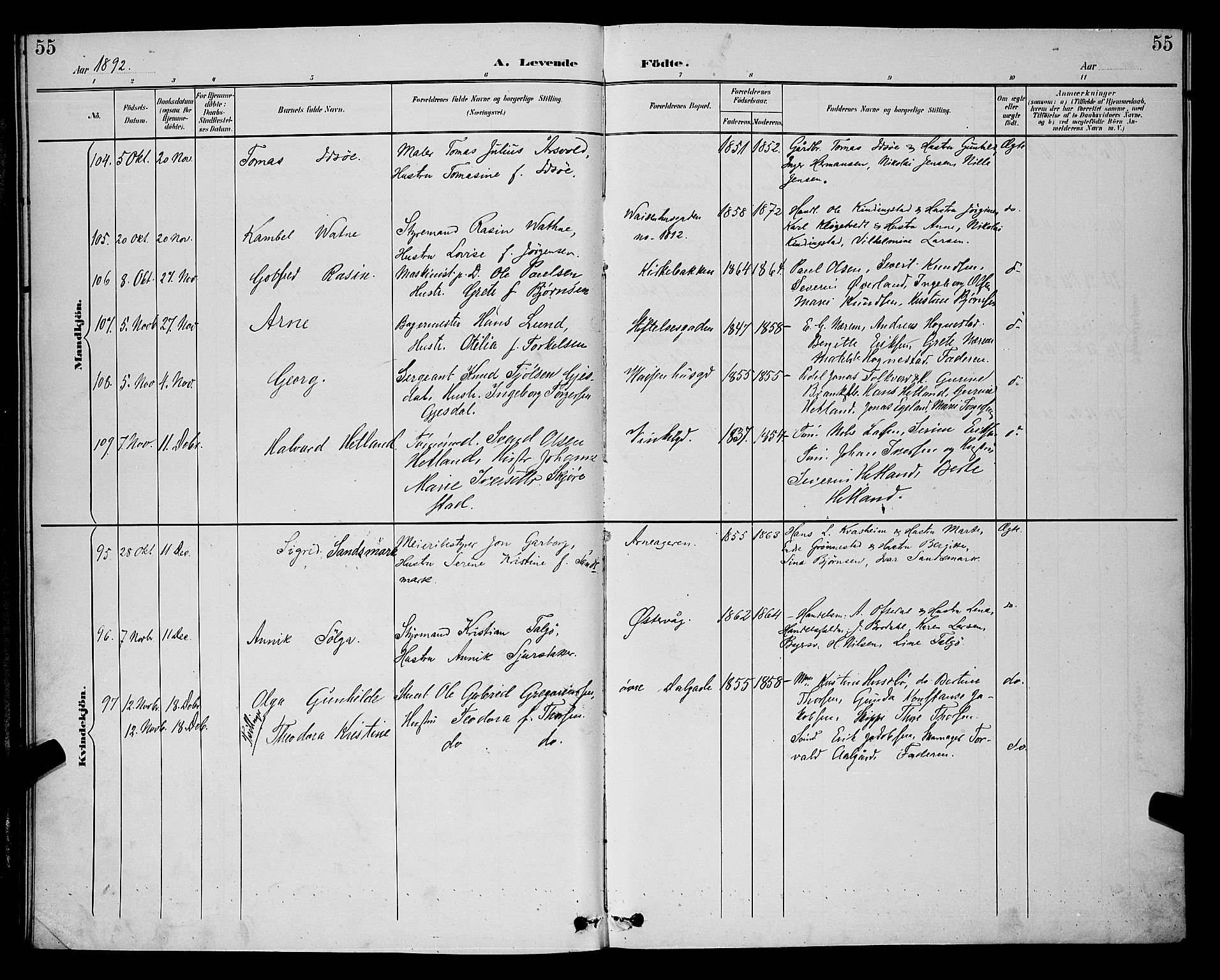 St. Petri sokneprestkontor, AV/SAST-A-101813/001/30/30BB/L0006: Parish register (copy) no. B 6, 1890-1897, p. 55