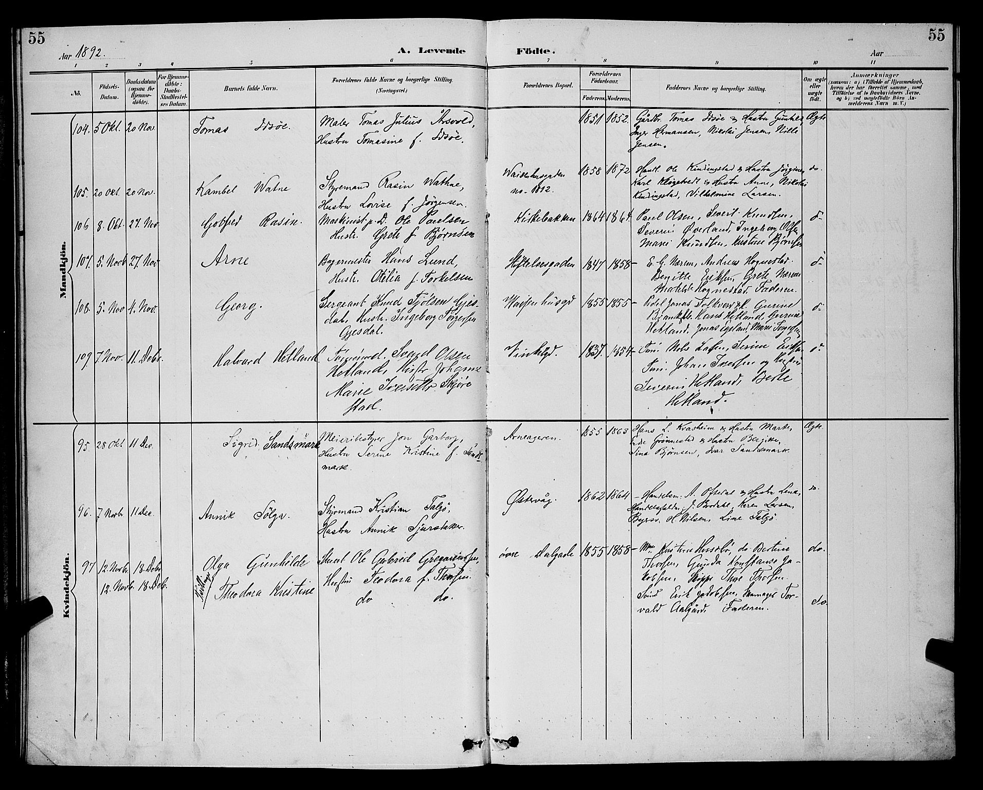 St. Petri sokneprestkontor, SAST/A-101813/001/30/30BB/L0006: Parish register (copy) no. B 6, 1890-1897, p. 55