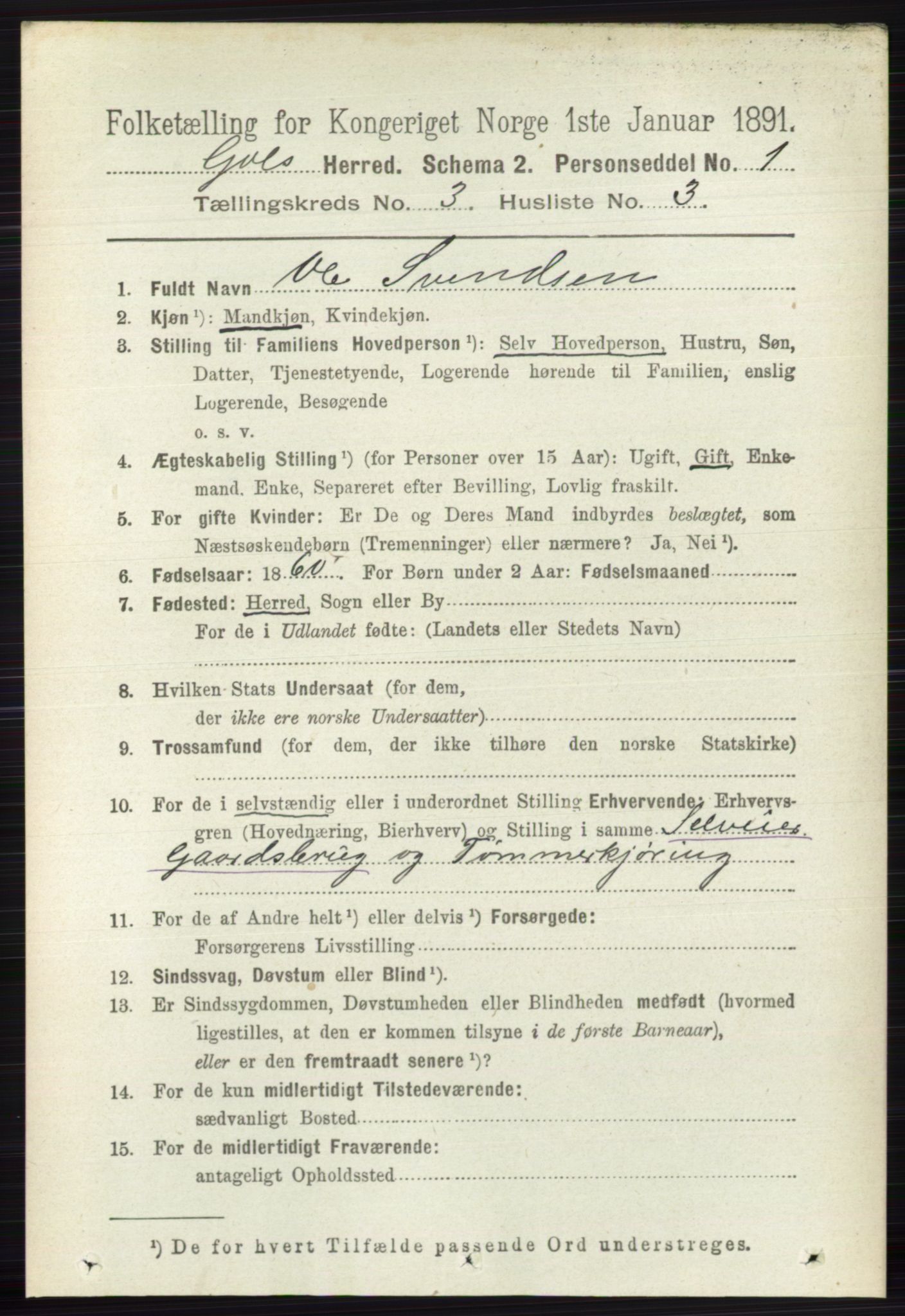 RA, 1891 census for 0617 Gol og Hemsedal, 1891, p. 1282