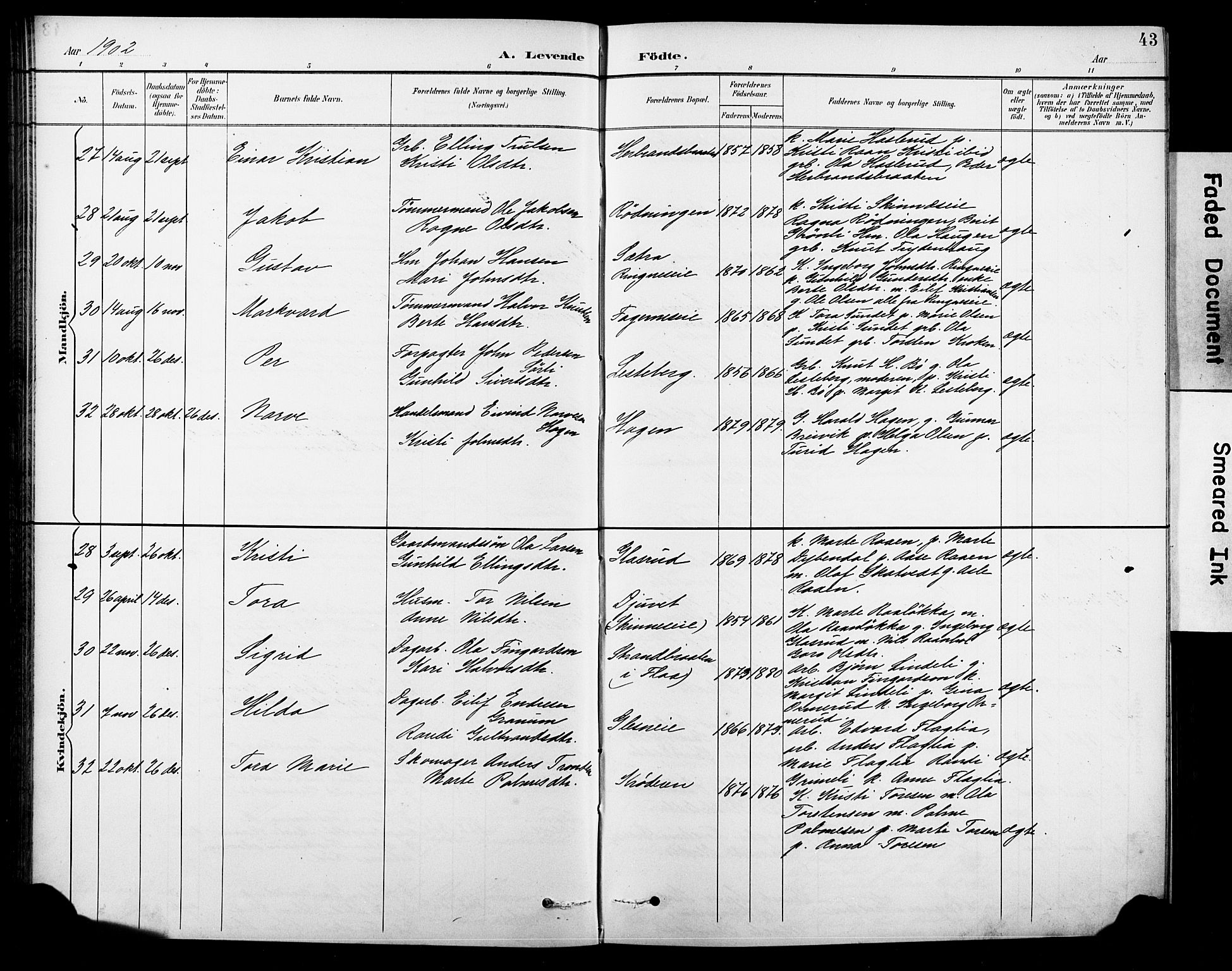 Krødsherad kirkebøker, SAKO/A-19/G/Ga/L0002: Parish register (copy) no. 2, 1894-1918, p. 43