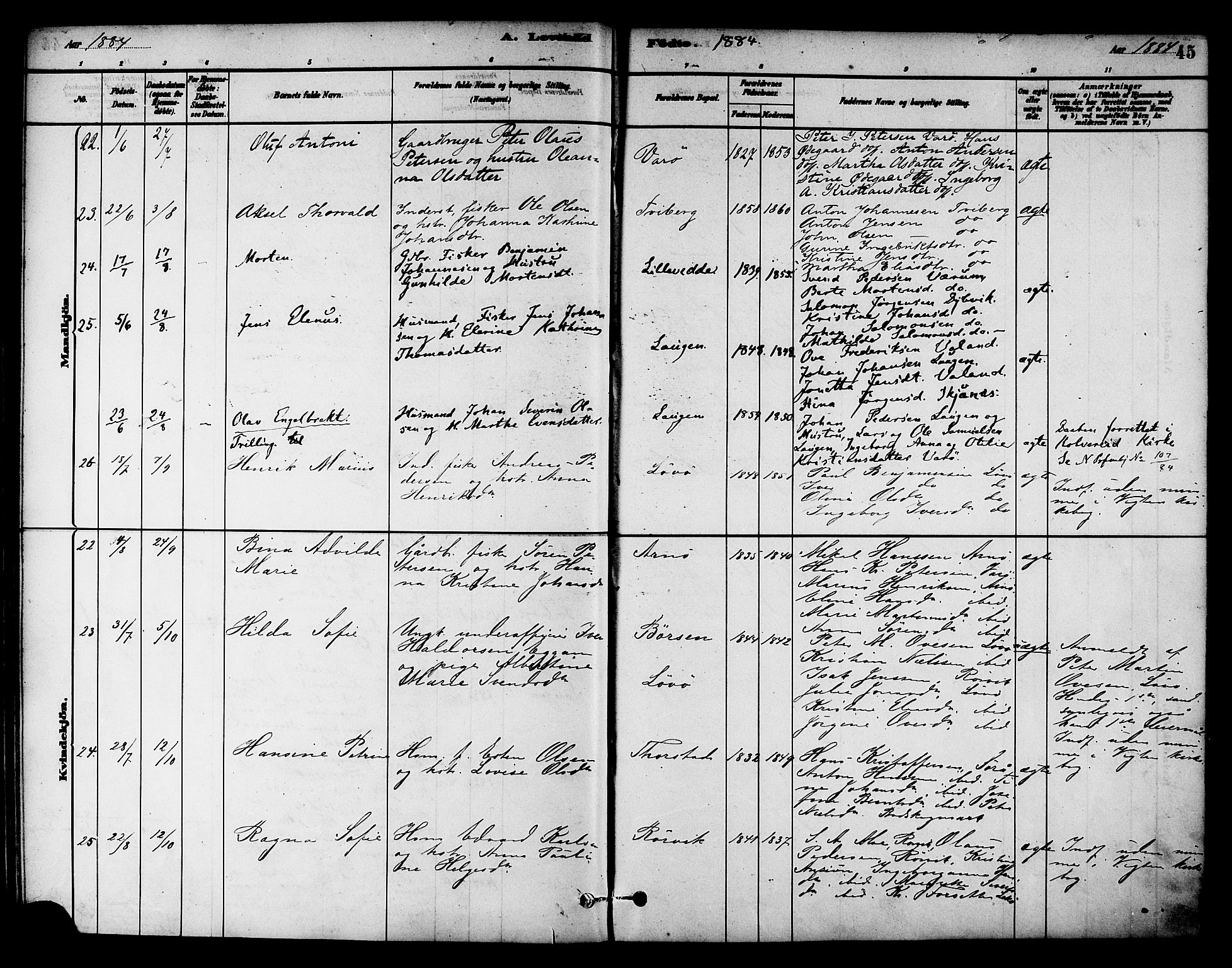 Ministerialprotokoller, klokkerbøker og fødselsregistre - Nord-Trøndelag, AV/SAT-A-1458/784/L0672: Parish register (official) no. 784A07, 1880-1887, p. 45