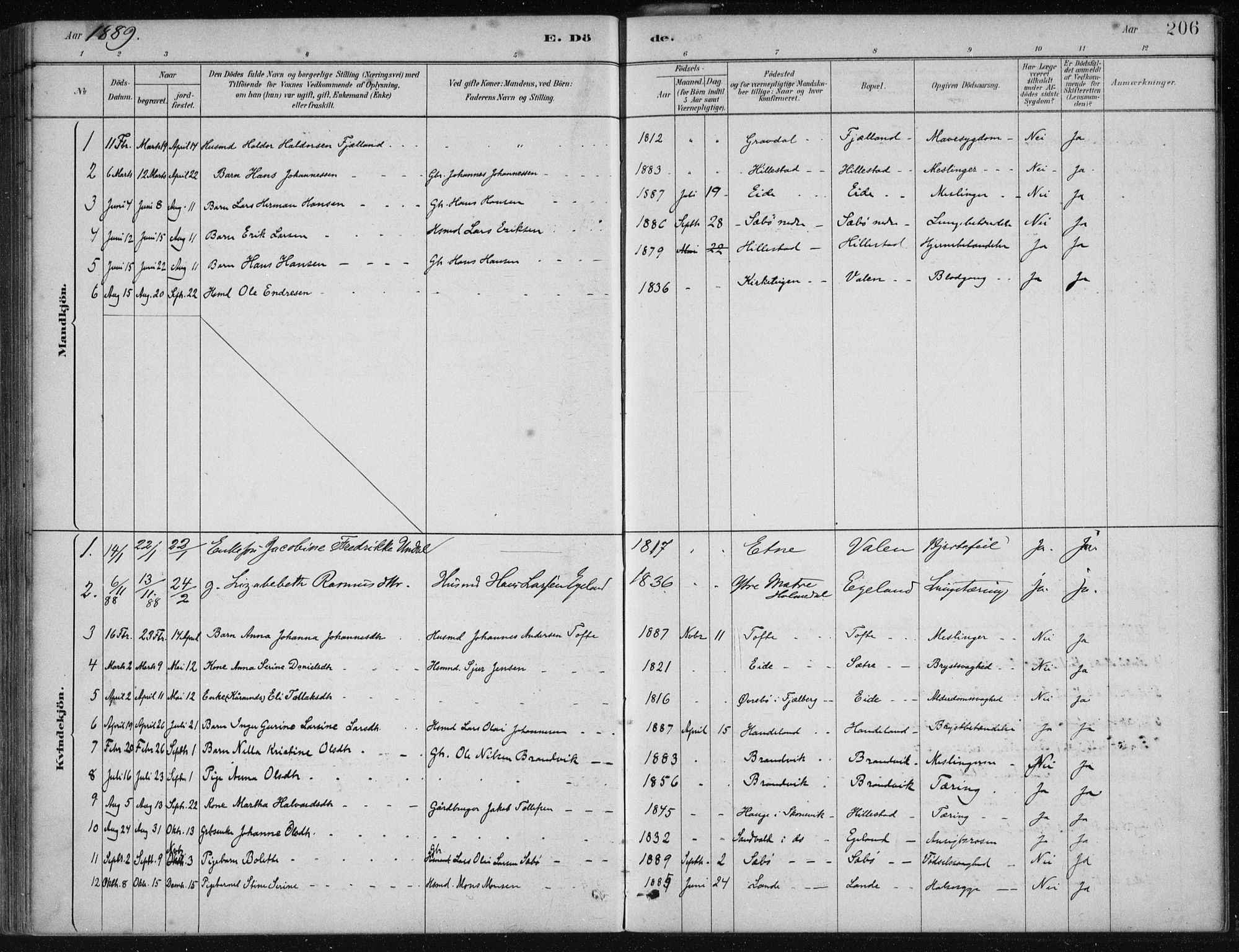 Fjelberg sokneprestembete, SAB/A-75201/H/Haa: Parish register (official) no. C  1, 1879-1918, p. 206