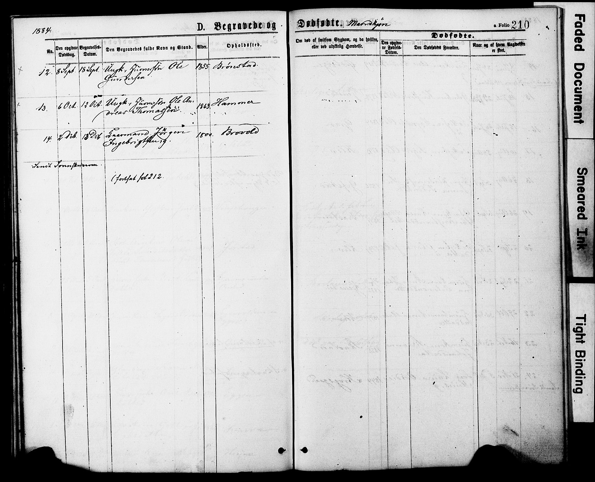 Ministerialprotokoller, klokkerbøker og fødselsregistre - Nord-Trøndelag, AV/SAT-A-1458/749/L0473: Parish register (official) no. 749A07, 1873-1887, p. 210