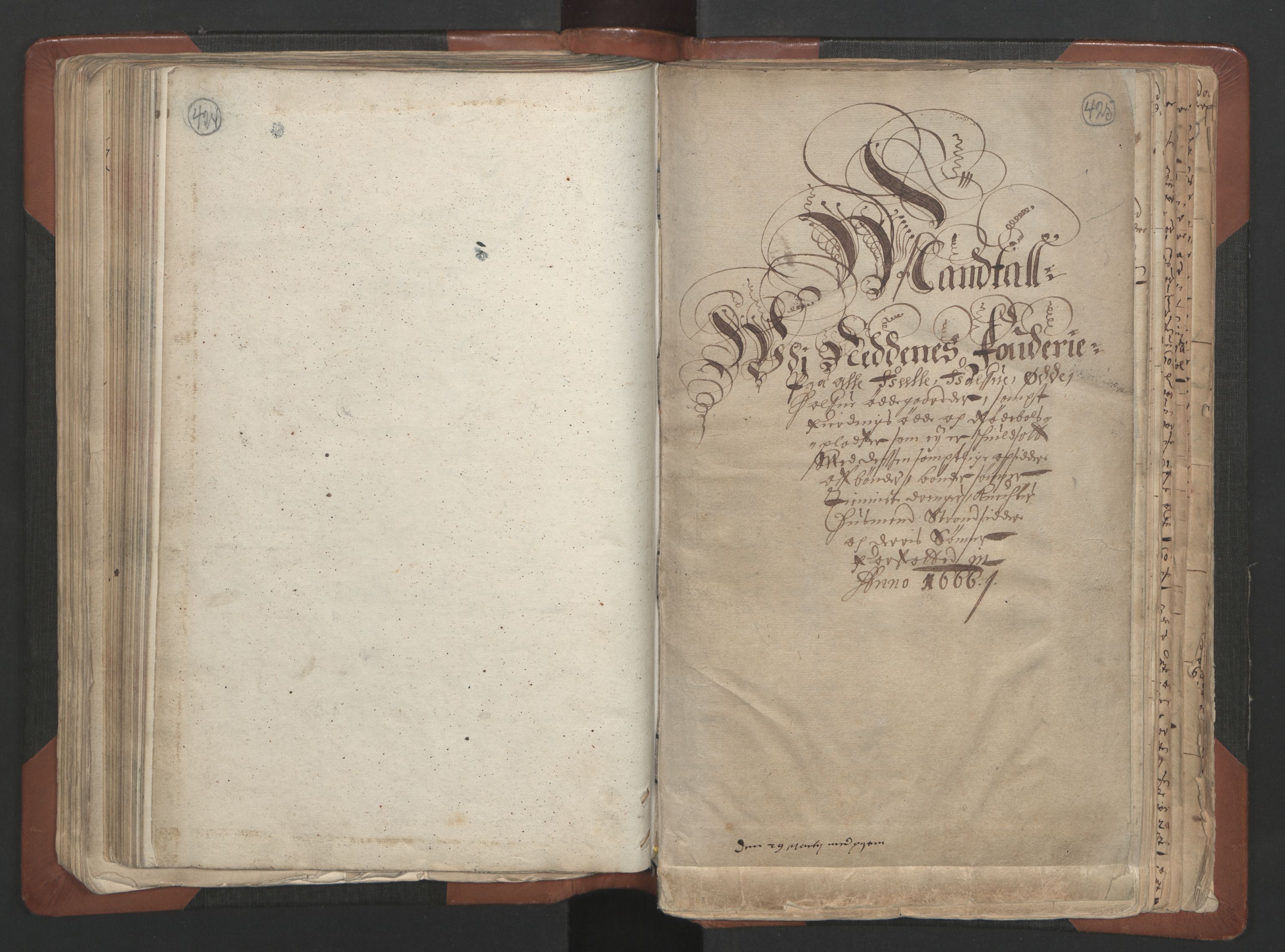 RA, Bailiff's Census 1664-1666, no. 7: Nedenes fogderi, 1664-1666, p. 424-425