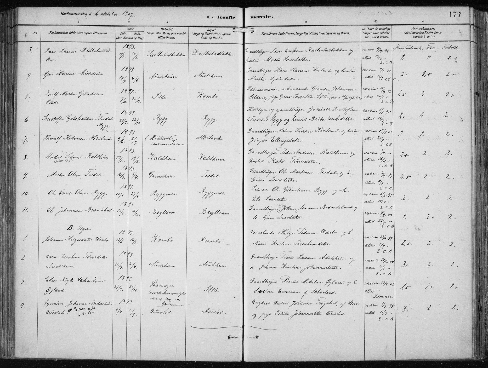 Etne sokneprestembete, AV/SAB-A-75001/H/Haa: Parish register (official) no. B  1, 1879-1919, p. 177