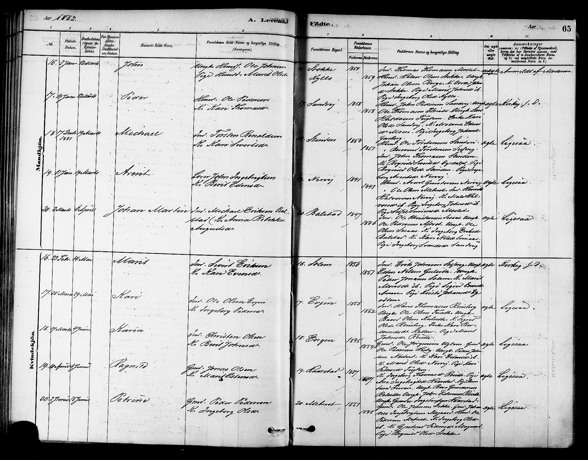 Ministerialprotokoller, klokkerbøker og fødselsregistre - Sør-Trøndelag, AV/SAT-A-1456/695/L1148: Parish register (official) no. 695A08, 1878-1891, p. 65