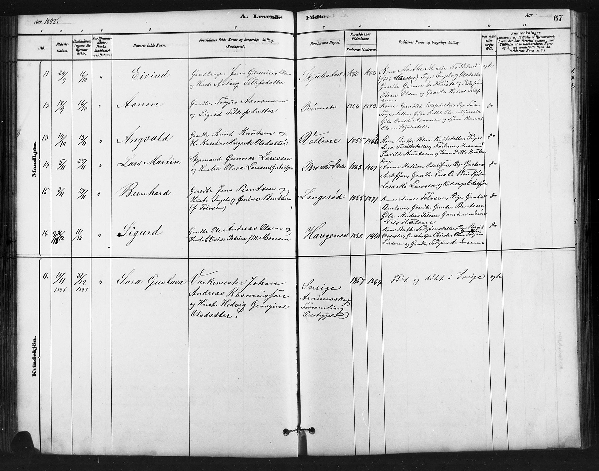 Austre Moland sokneprestkontor, SAK/1111-0001/F/Fb/Fba/L0003: Parish register (copy) no. B 3, 1879-1914, p. 67