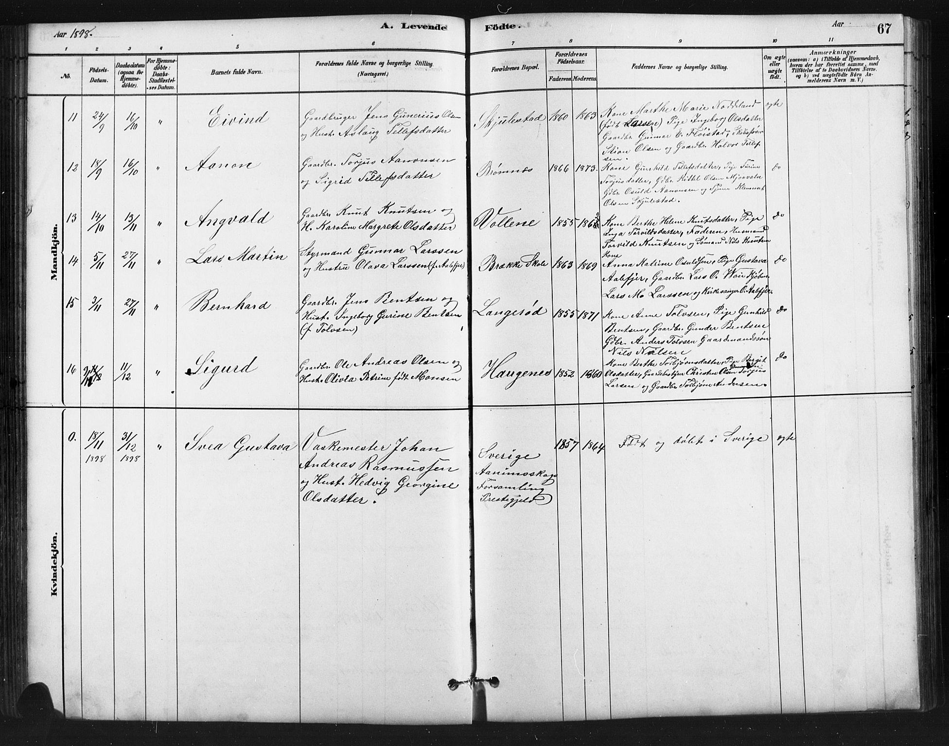 Austre Moland sokneprestkontor, AV/SAK-1111-0001/F/Fb/Fba/L0003: Parish register (copy) no. B 3, 1879-1914, p. 67