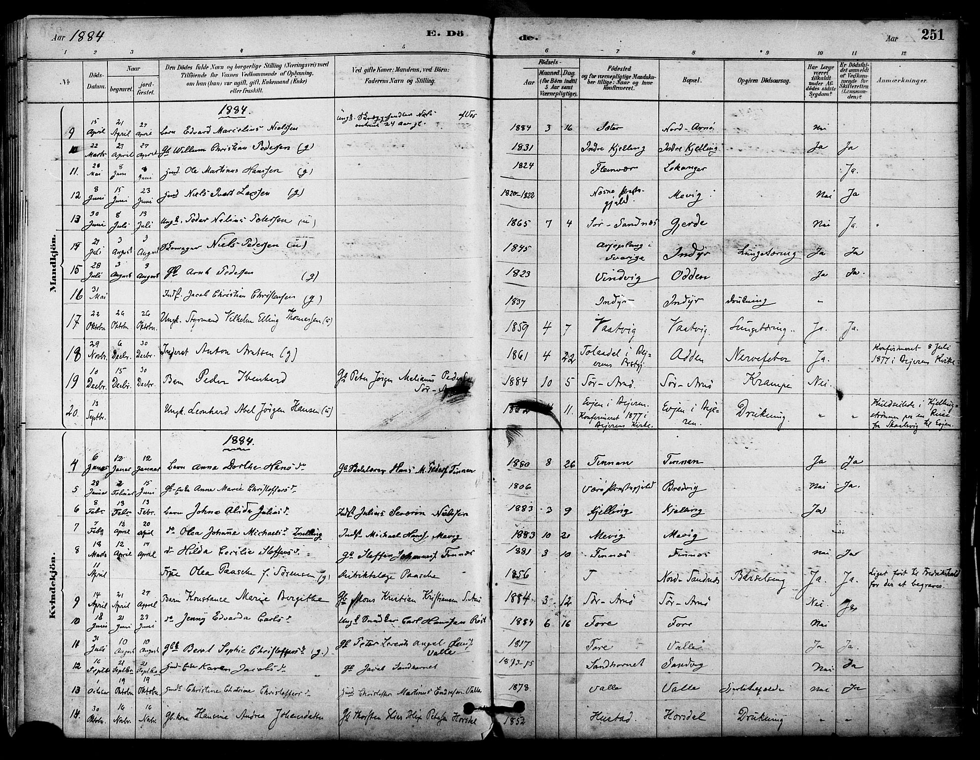 Ministerialprotokoller, klokkerbøker og fødselsregistre - Nordland, SAT/A-1459/805/L0099: Parish register (official) no. 805A06, 1880-1891, p. 251