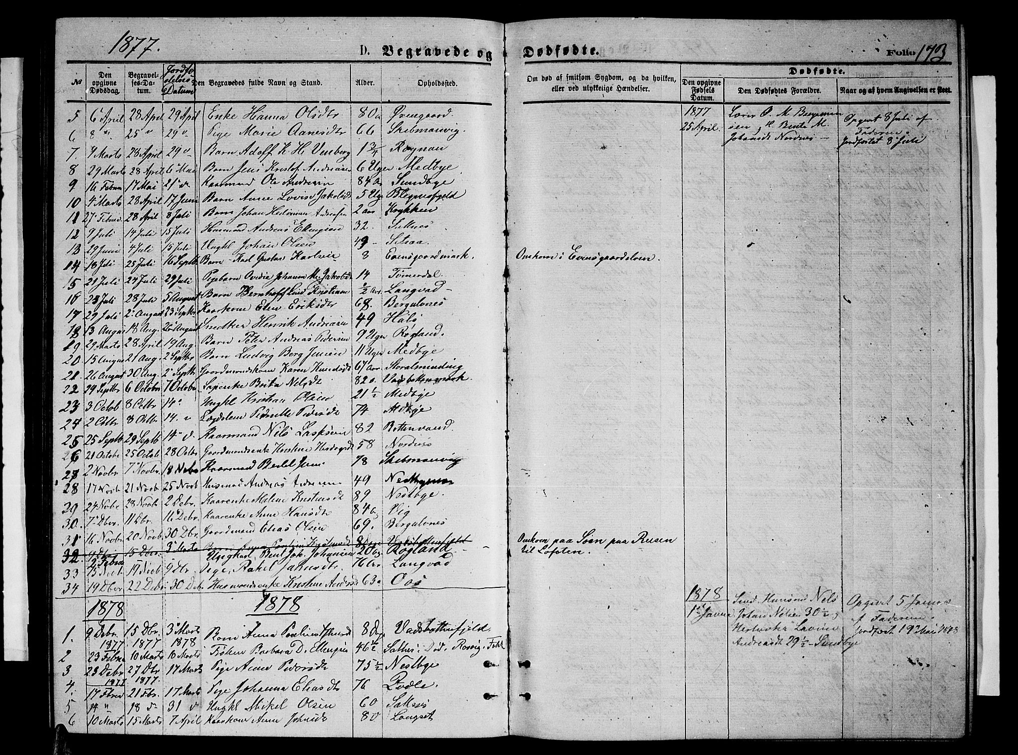 Ministerialprotokoller, klokkerbøker og fødselsregistre - Nordland, SAT/A-1459/847/L0679: Parish register (copy) no. 847C07, 1870-1888, p. 173