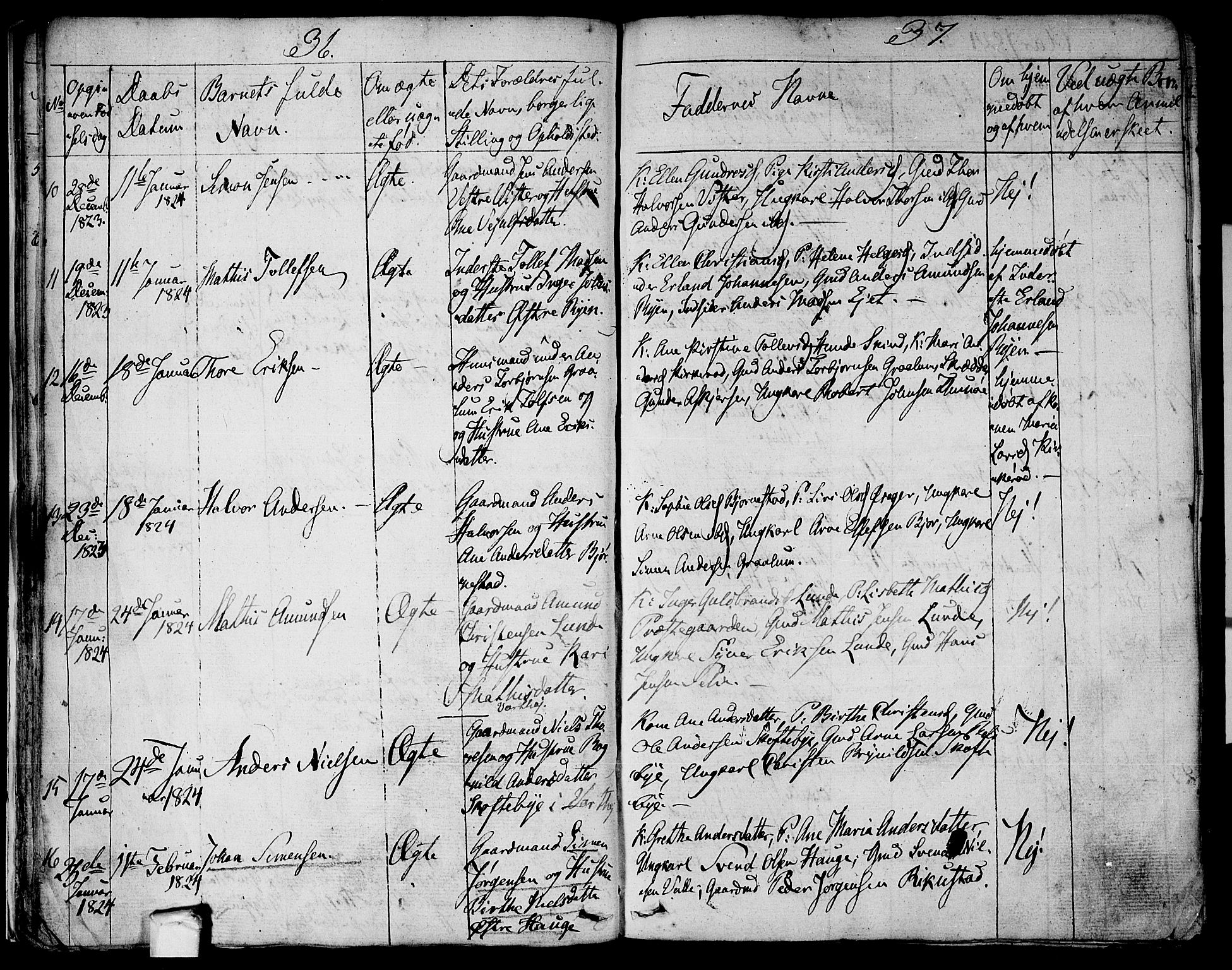 Tune prestekontor Kirkebøker, AV/SAO-A-2007/F/Fa/L0006: Parish register (official) no. 6, 1823-1831, p. 36-37