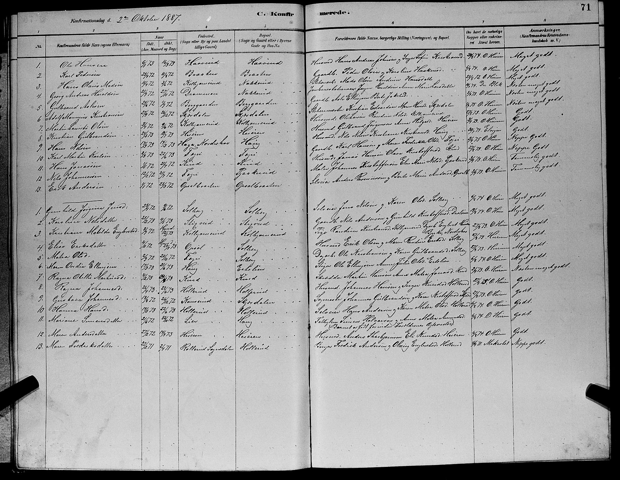 Hole kirkebøker, AV/SAKO-A-228/G/Gb/L0002: Parish register (copy) no. II 2, 1878-1889, p. 71