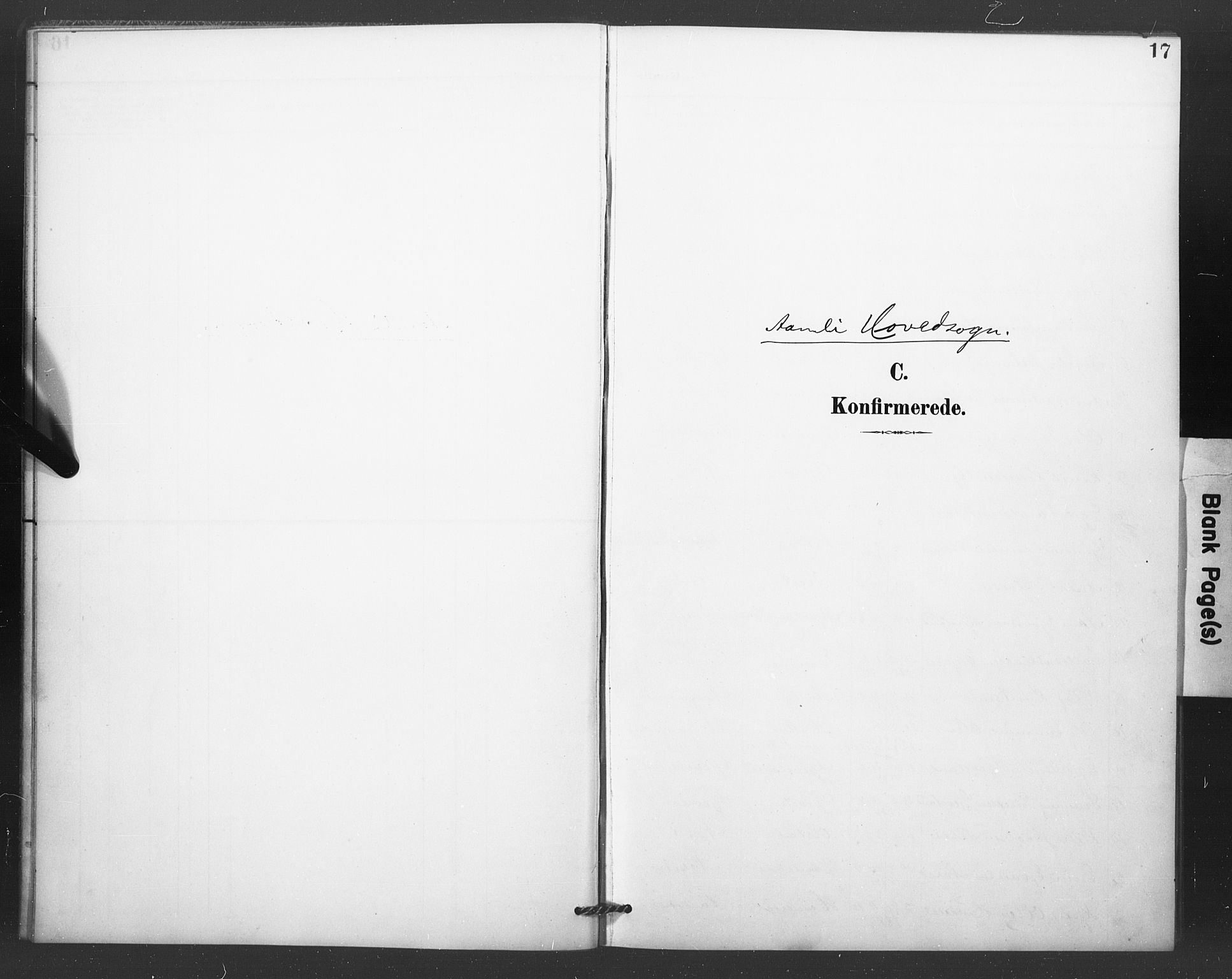 Åmli sokneprestkontor, SAK/1111-0050/F/Fa/Fac/L0011: Parish register (official) no. A 11, 1898-1899, p. 17