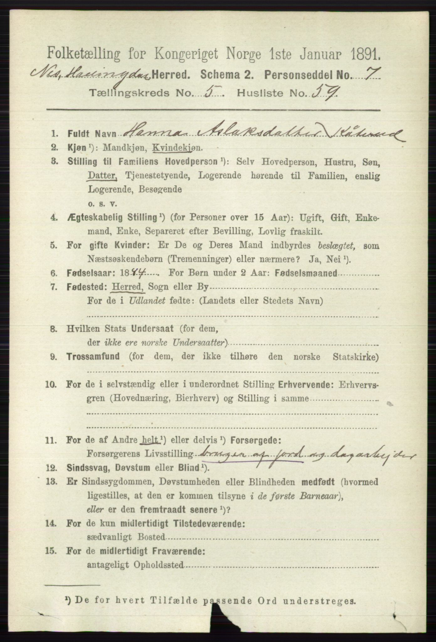 RA, 1891 census for 0616 Nes, 1891, p. 2938