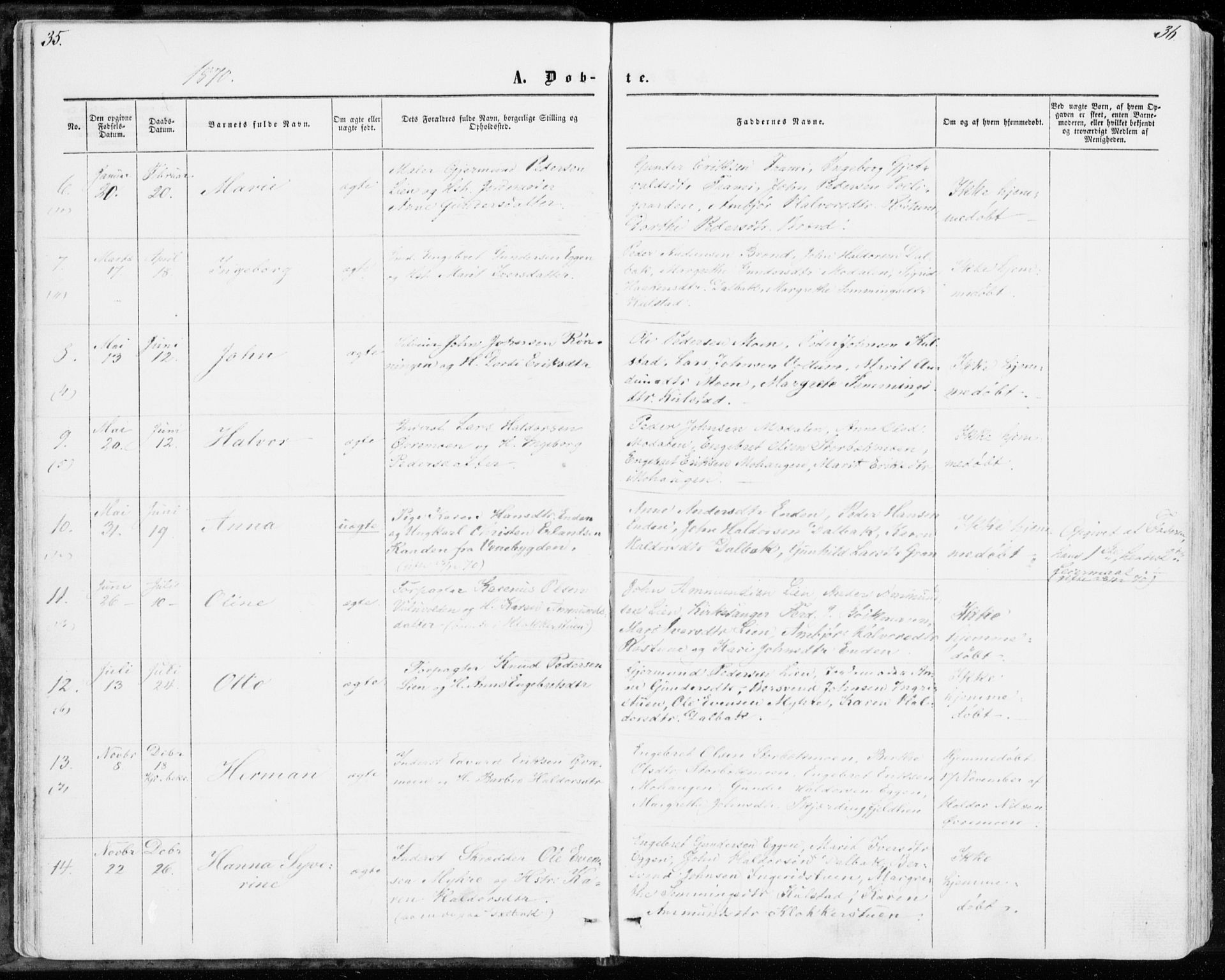 Sollia prestekontor, AV/SAH-PREST-050/H/Ha/Haa/L0001: Parish register (official) no. 1, 1856-1885, p. 35-36