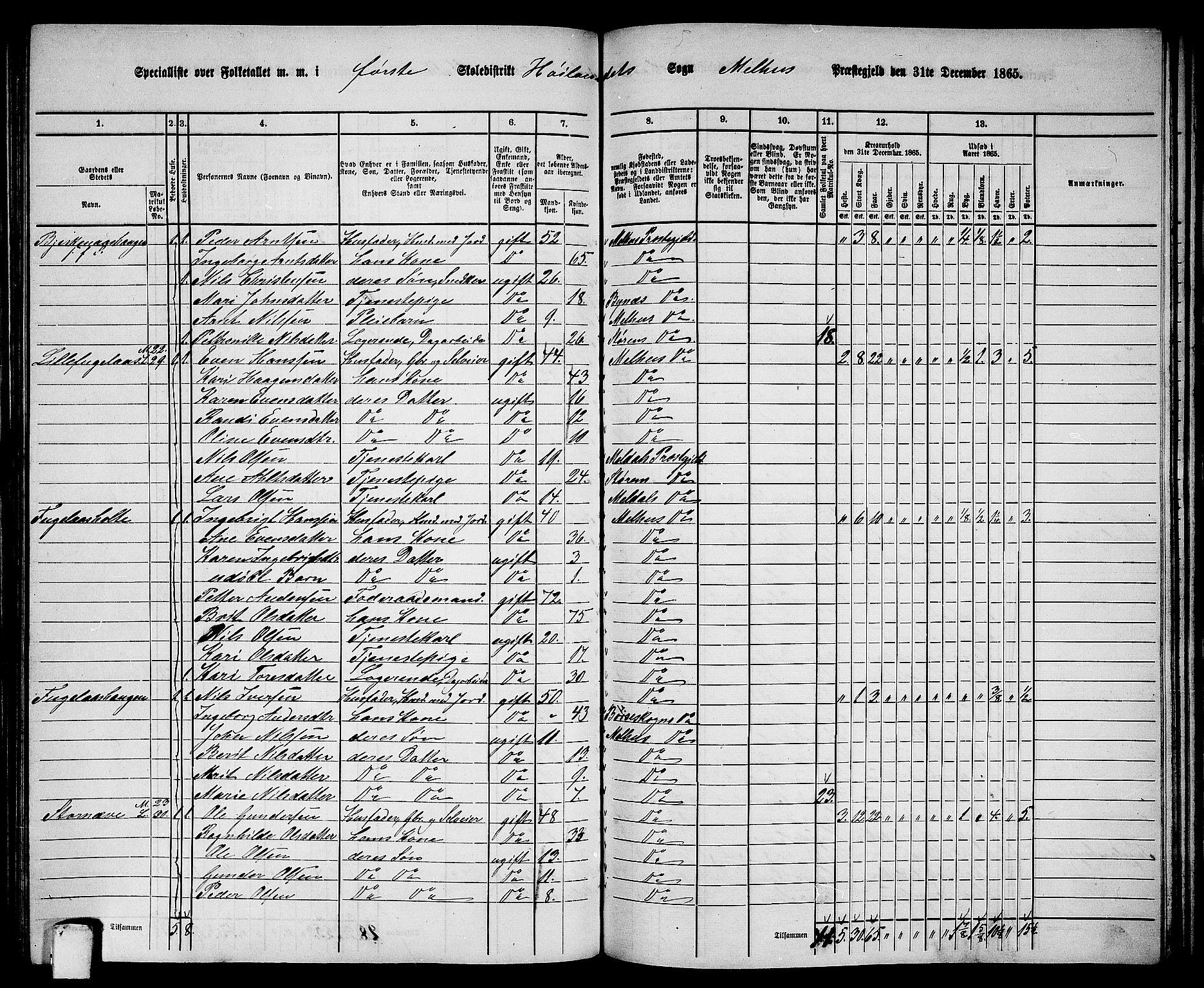 RA, 1865 census for Melhus, 1865, p. 174