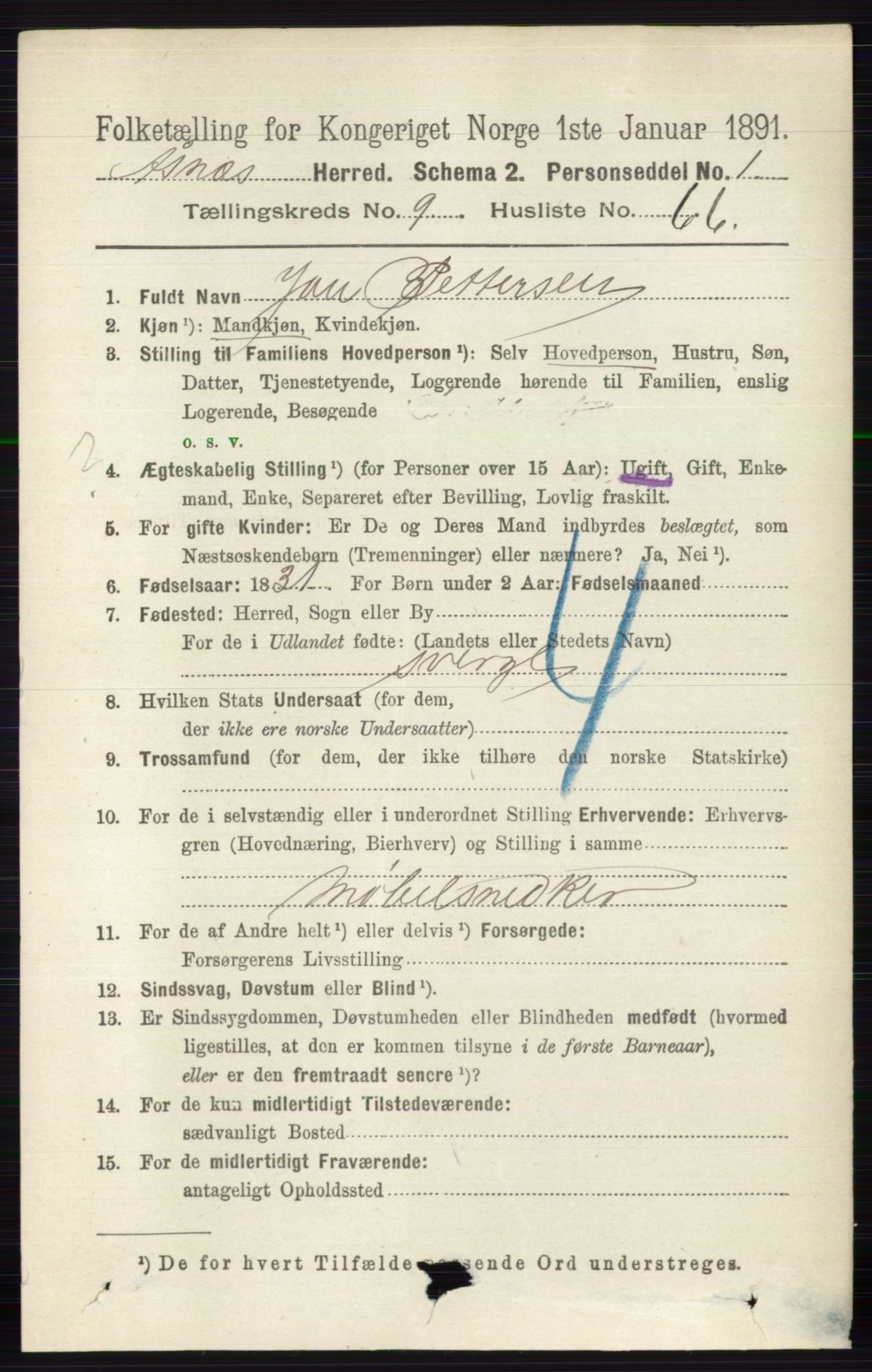 RA, 1891 census for 0425 Åsnes, 1891, p. 4985