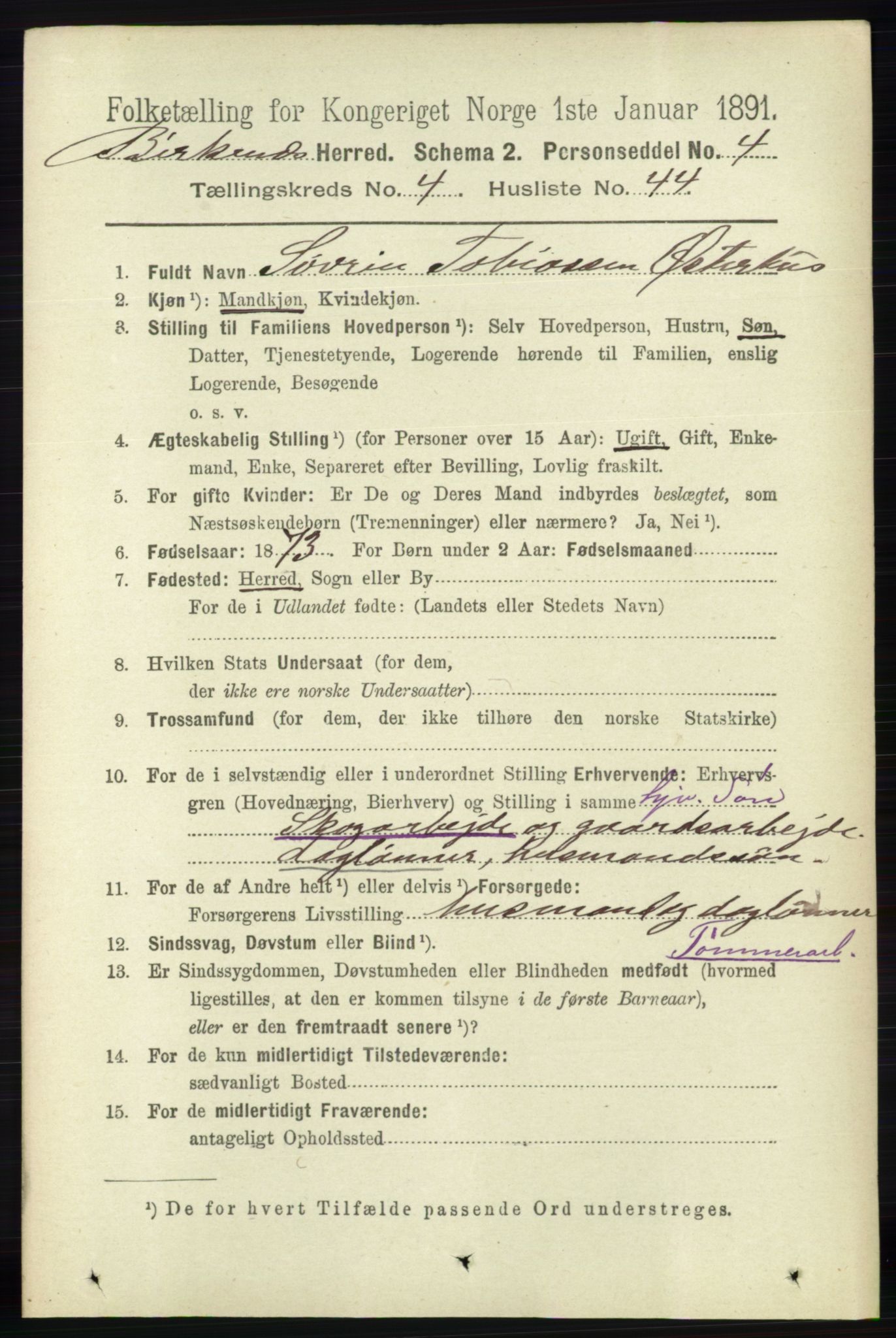 RA, 1891 Census for 0928 Birkenes, 1891, p. 1490