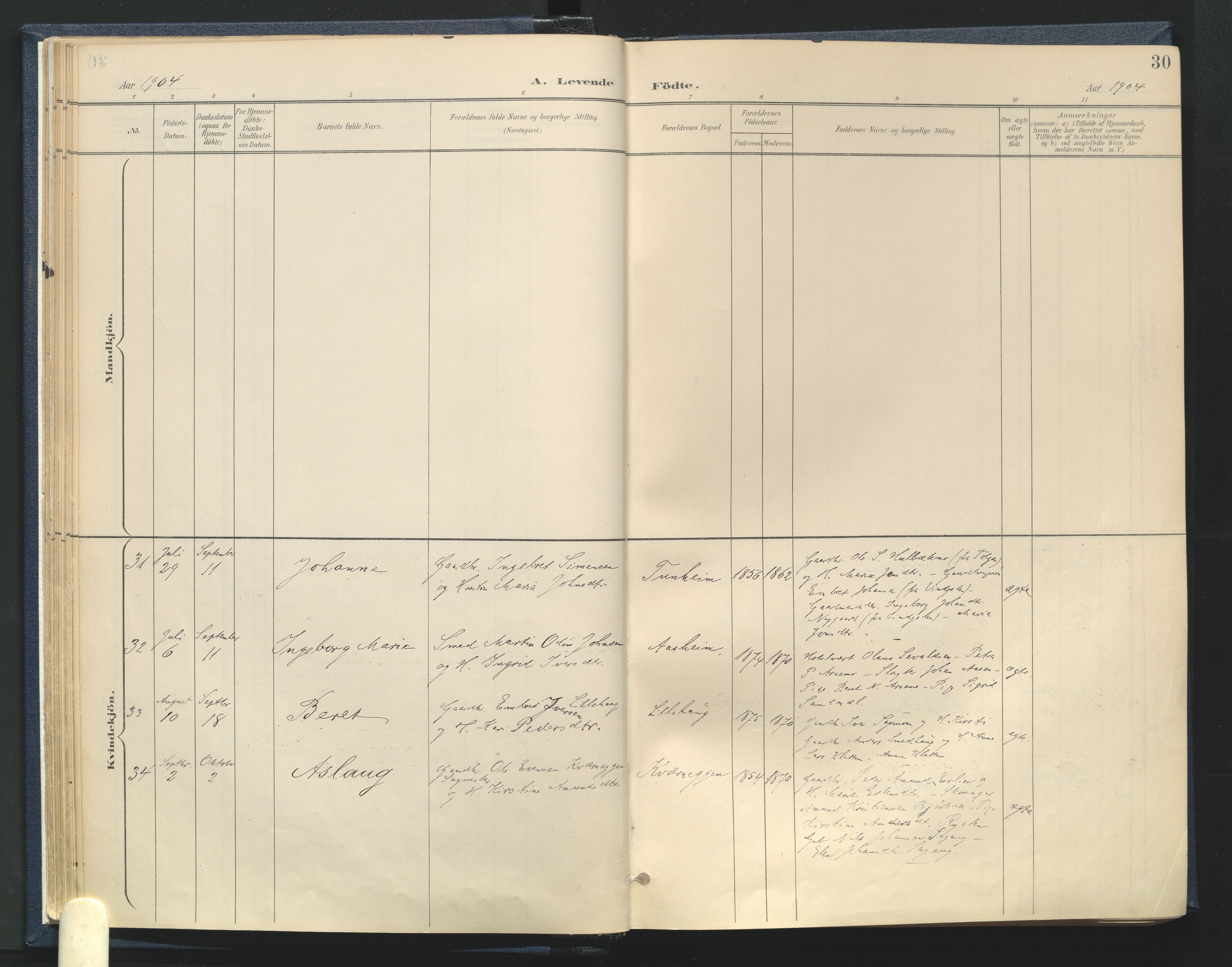 Tynset prestekontor, AV/SAH-PREST-058/H/Ha/Haa/L0025: Parish register (official) no. 25, 1900-1914, p. 30