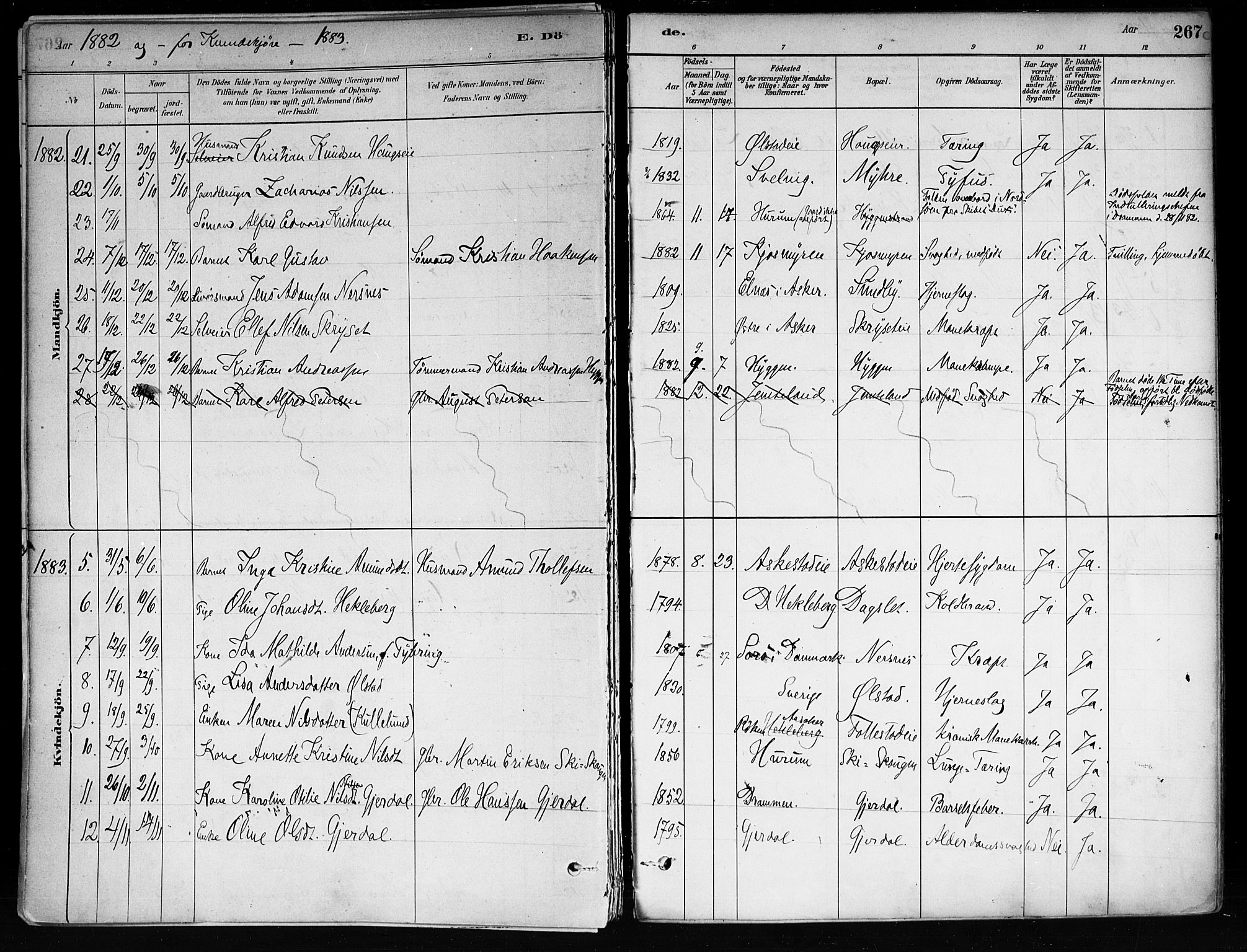 Røyken kirkebøker, SAKO/A-241/F/Fa/L0008: Parish register (official) no. 8, 1880-1897, p. 267