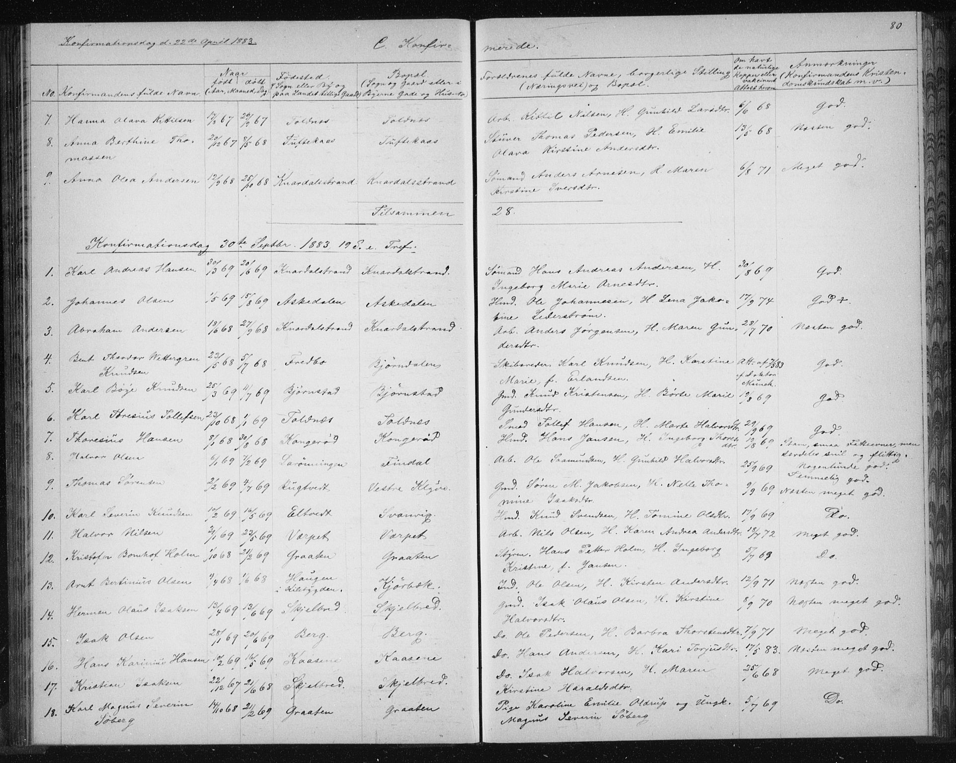 Solum kirkebøker, AV/SAKO-A-306/G/Ga/L0006: Parish register (copy) no. I 6, 1882-1883, p. 80