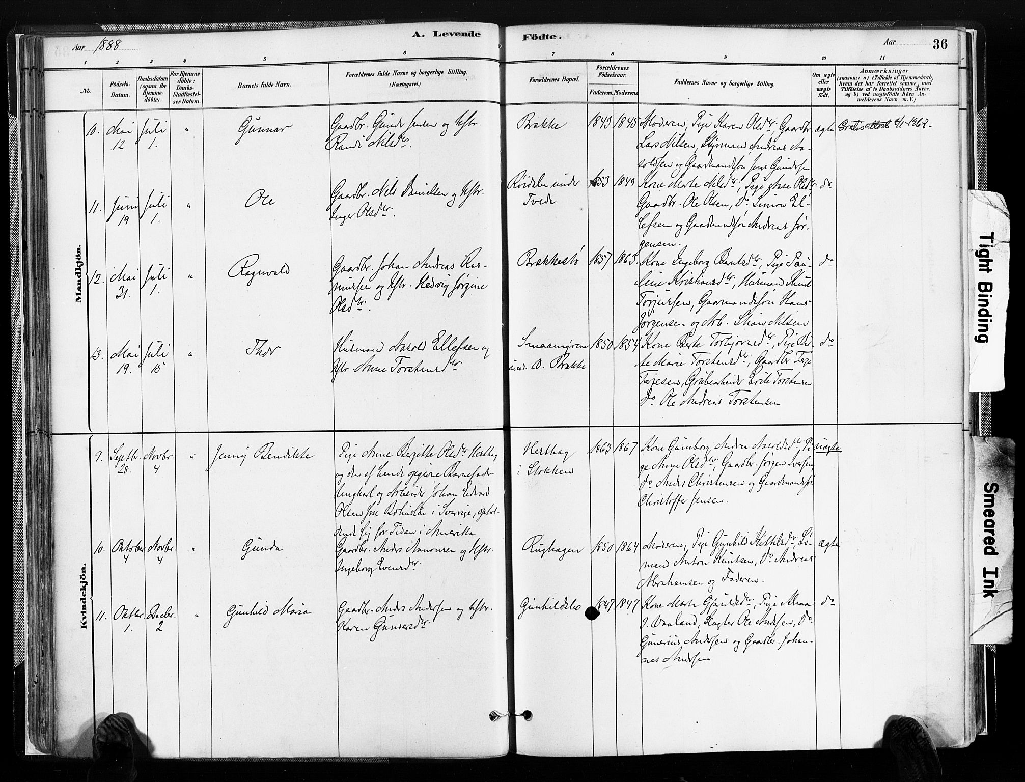 Austre Moland sokneprestkontor, SAK/1111-0001/F/Fa/Faa/L0010: Parish register (official) no. A 10, 1880-1904, p. 36