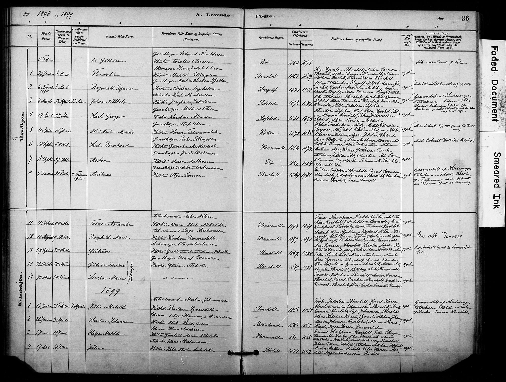 Lardal kirkebøker, SAKO/A-350/F/Fd/L0001: Parish register (official) no. IV 1, 1881-1907, p. 36